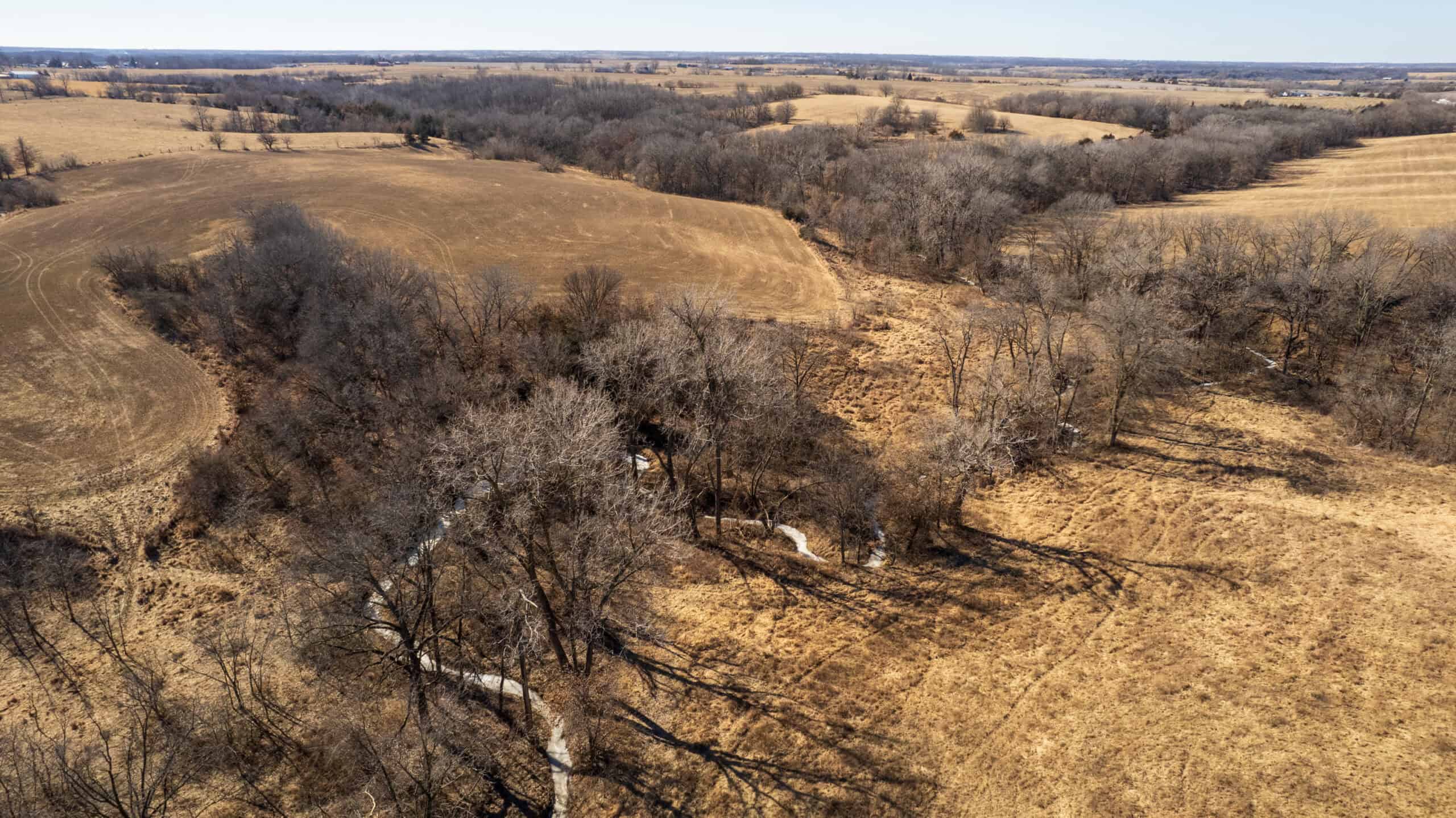 125+/- Acres | Combination Farm with Timber, Pasture & Hunting Potential | Appanoose County, IA