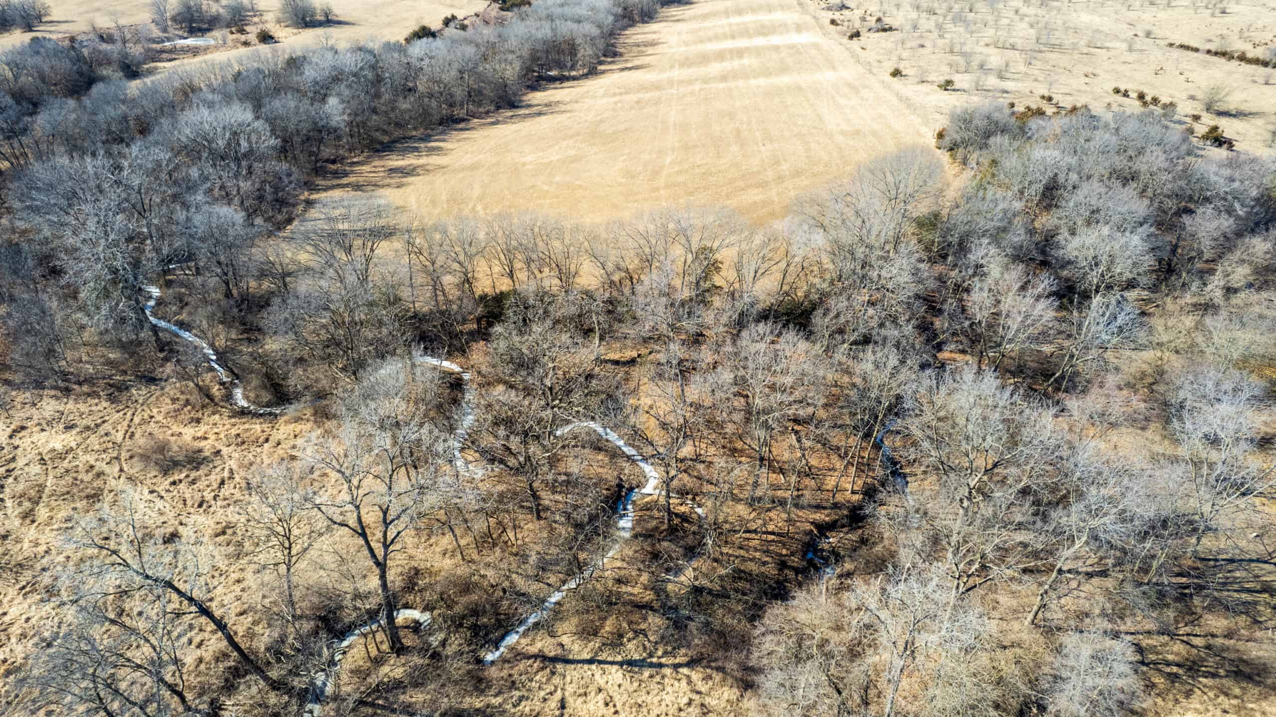 125+/- Acres | Combination Farm with Timber, Pasture & Hunting Potential | Appanoose County, IA