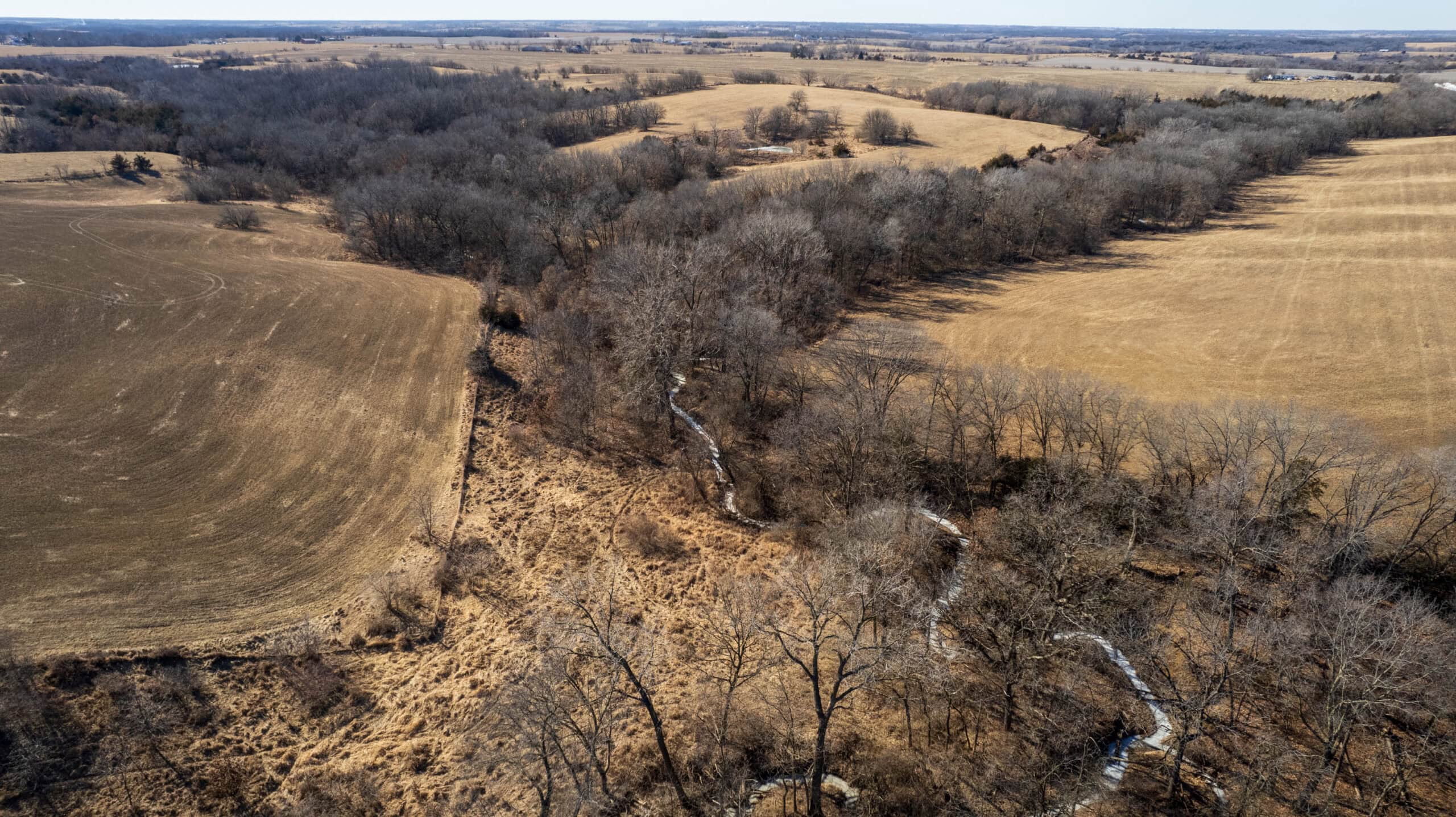 125+/- Acres | Combination Farm with Timber, Pasture & Hunting Potential | Appanoose County, IA