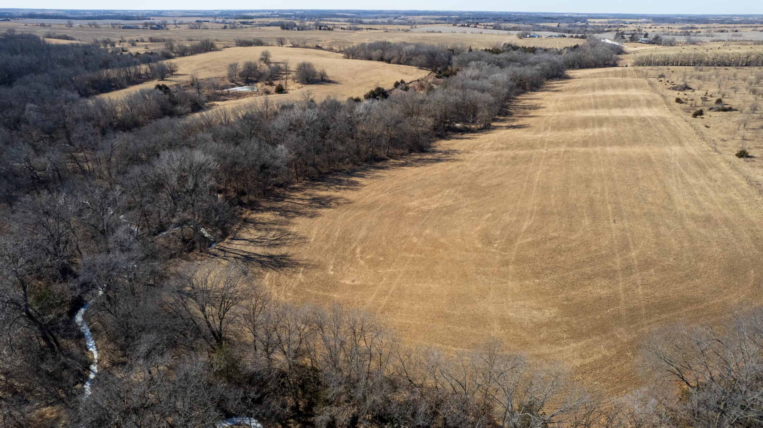 125+/- Acres | Combination Farm with Timber, Pasture & Hunting Potential | Appanoose County, IA