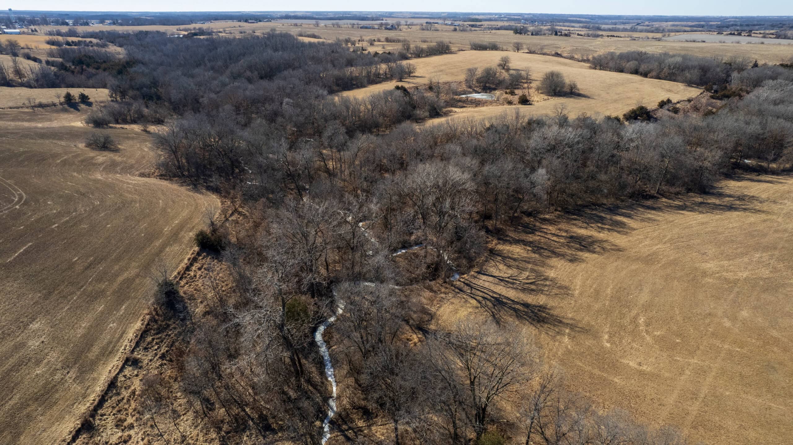 125+/- Acres | Combination Farm with Timber, Pasture & Hunting Potential | Appanoose County, IA