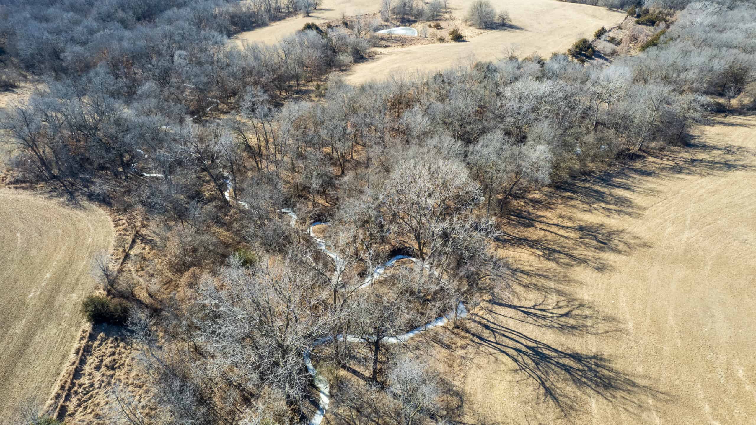 125+/- Acres | Combination Farm with Timber, Pasture & Hunting Potential | Appanoose County, IA