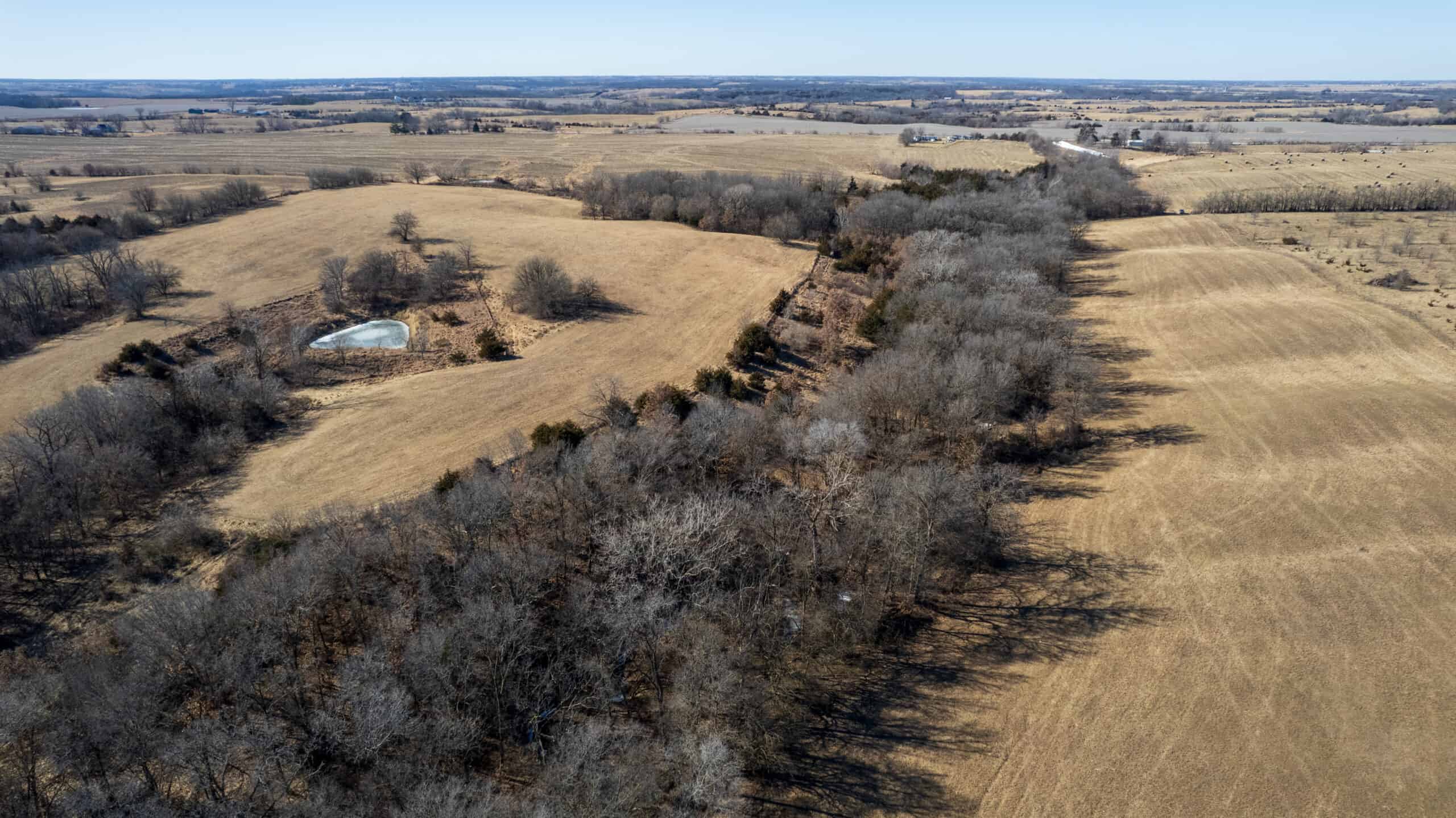 125+/- Acres | Combination Farm with Timber, Pasture & Hunting Potential | Appanoose County, IA