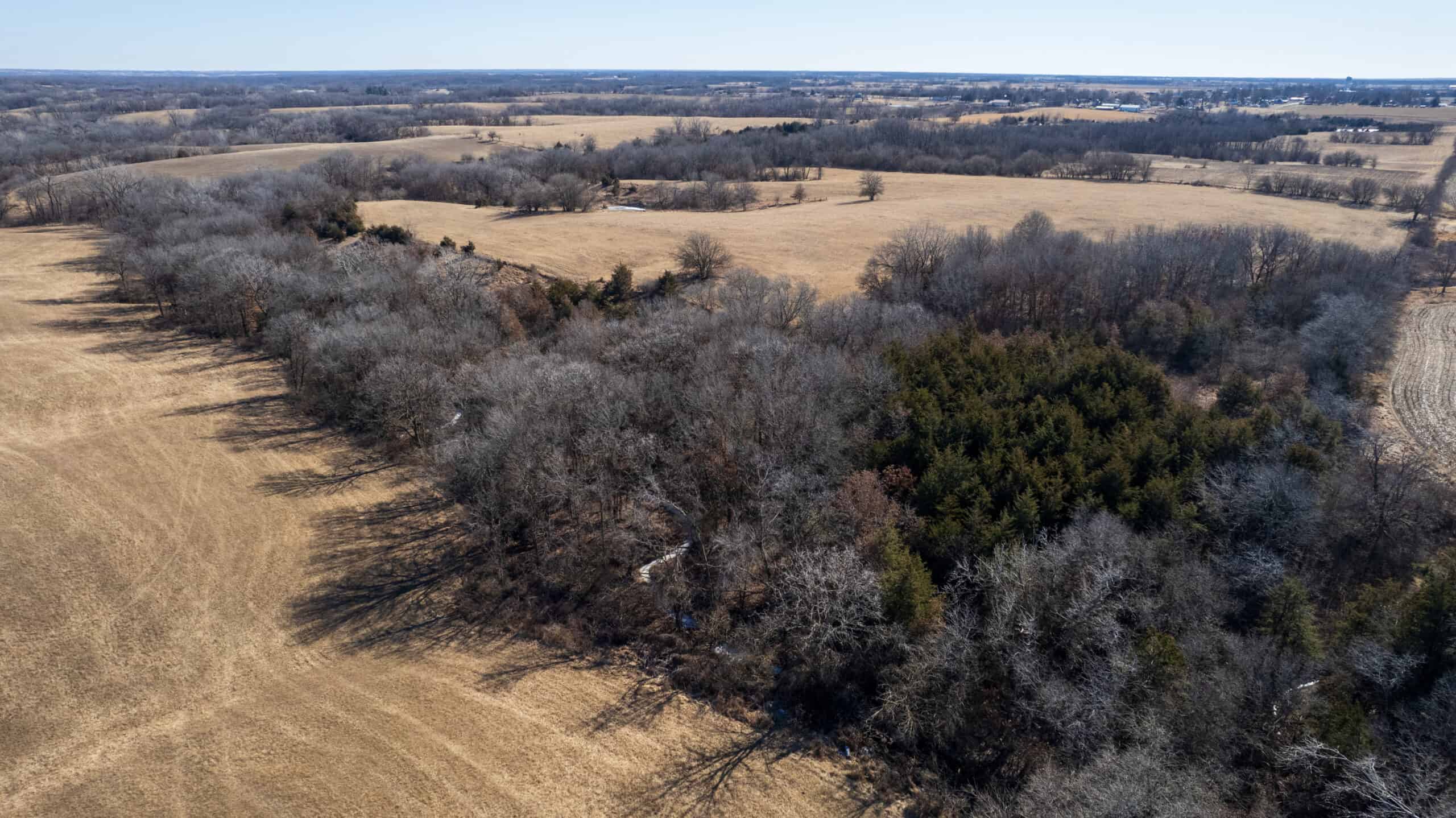 125+/- Acres | Combination Farm with Timber, Pasture & Hunting Potential | Appanoose County, IA