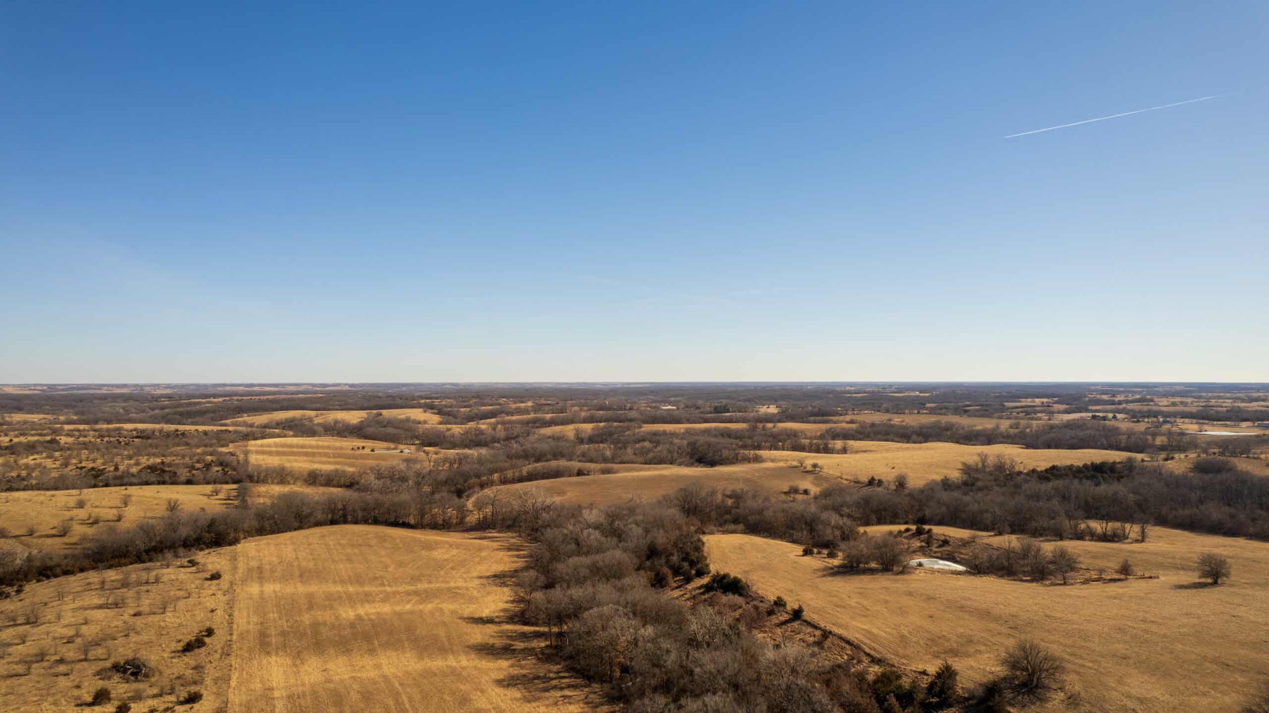 125+/- Acres | Combination Farm with Timber, Pasture & Hunting Potential | Appanoose County, IA