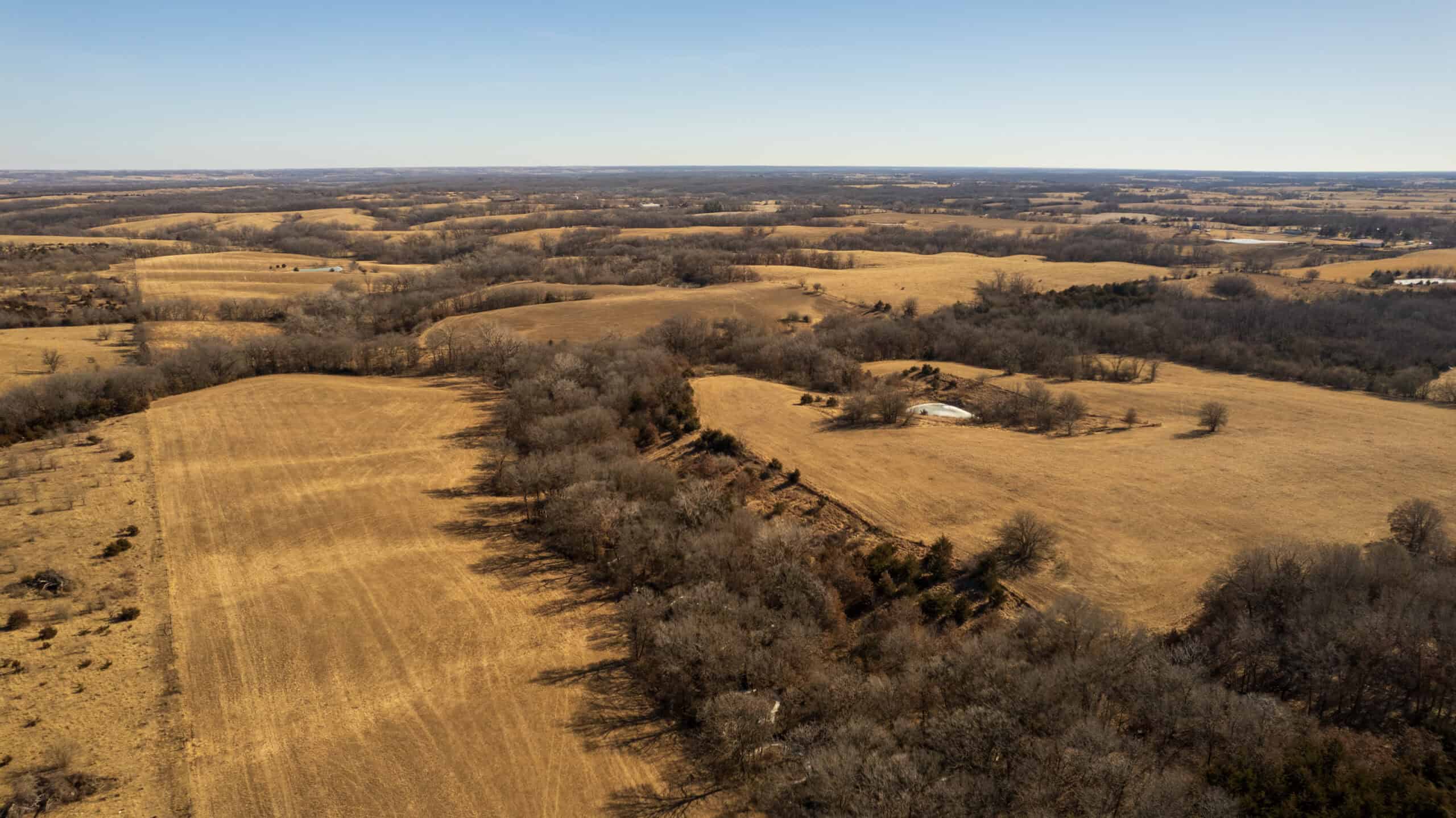 125+/- Acres | Combination Farm with Timber, Pasture & Hunting Potential | Appanoose County, IA
