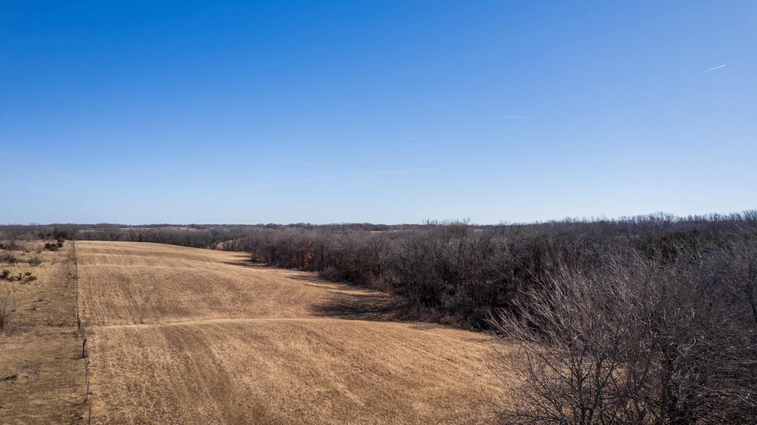 125+/- Acres | Combination Farm with Timber, Pasture & Hunting Potential | Appanoose County, IA