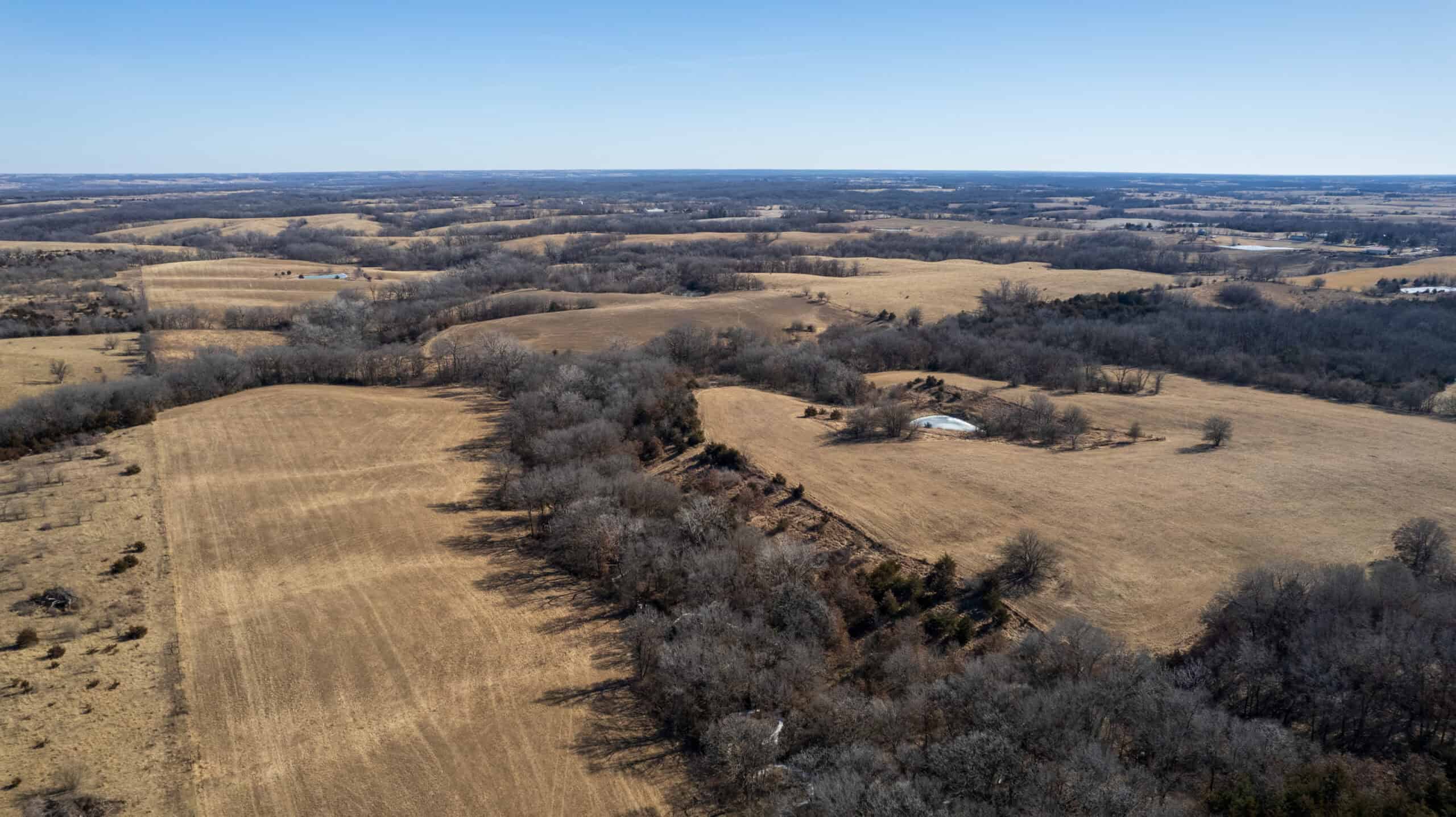 125+/- Acres | Combination Farm with Timber, Pasture & Hunting Potential | Appanoose County, IA