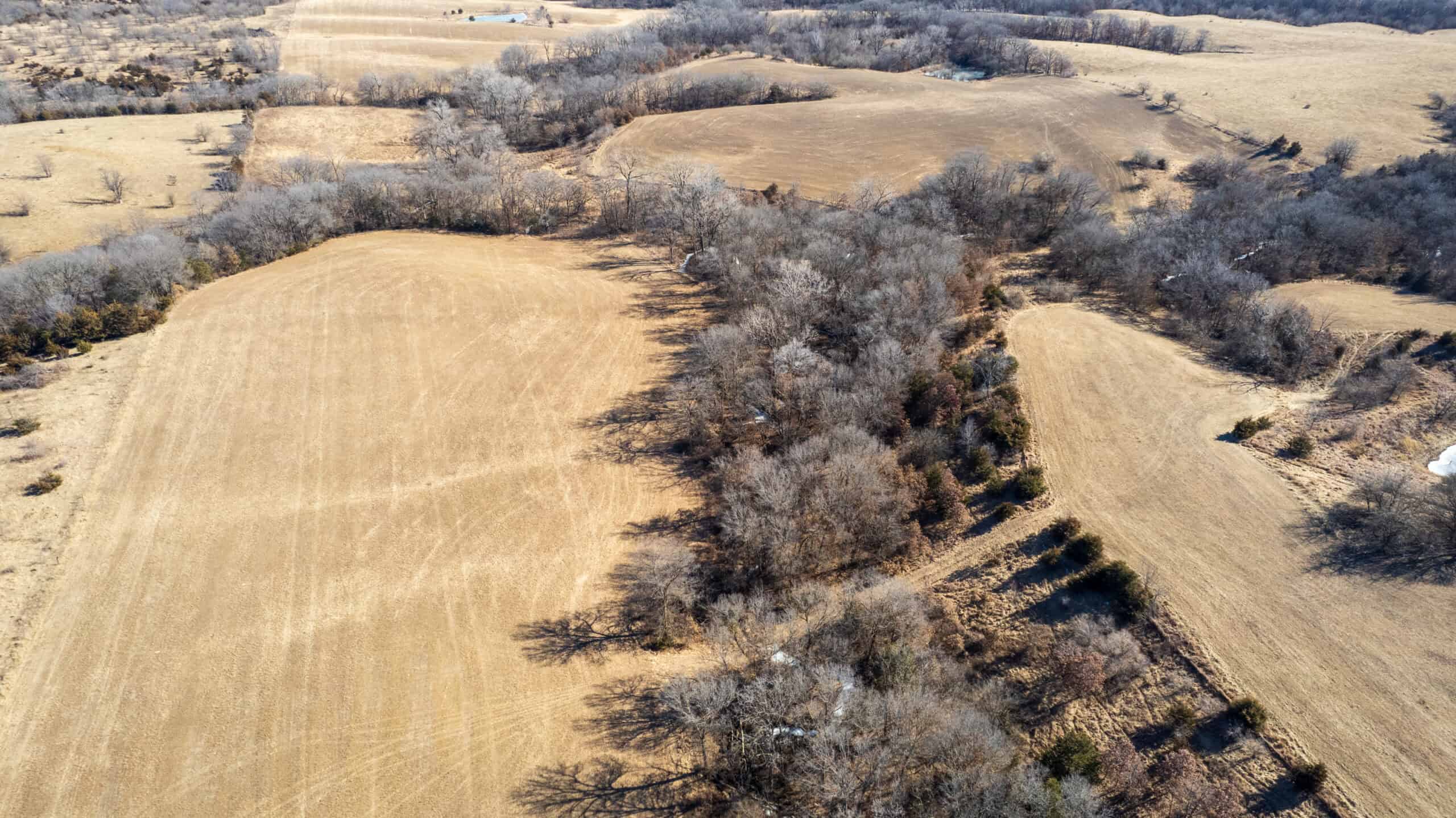 125+/- Acres | Combination Farm with Timber, Pasture & Hunting Potential | Appanoose County, IA