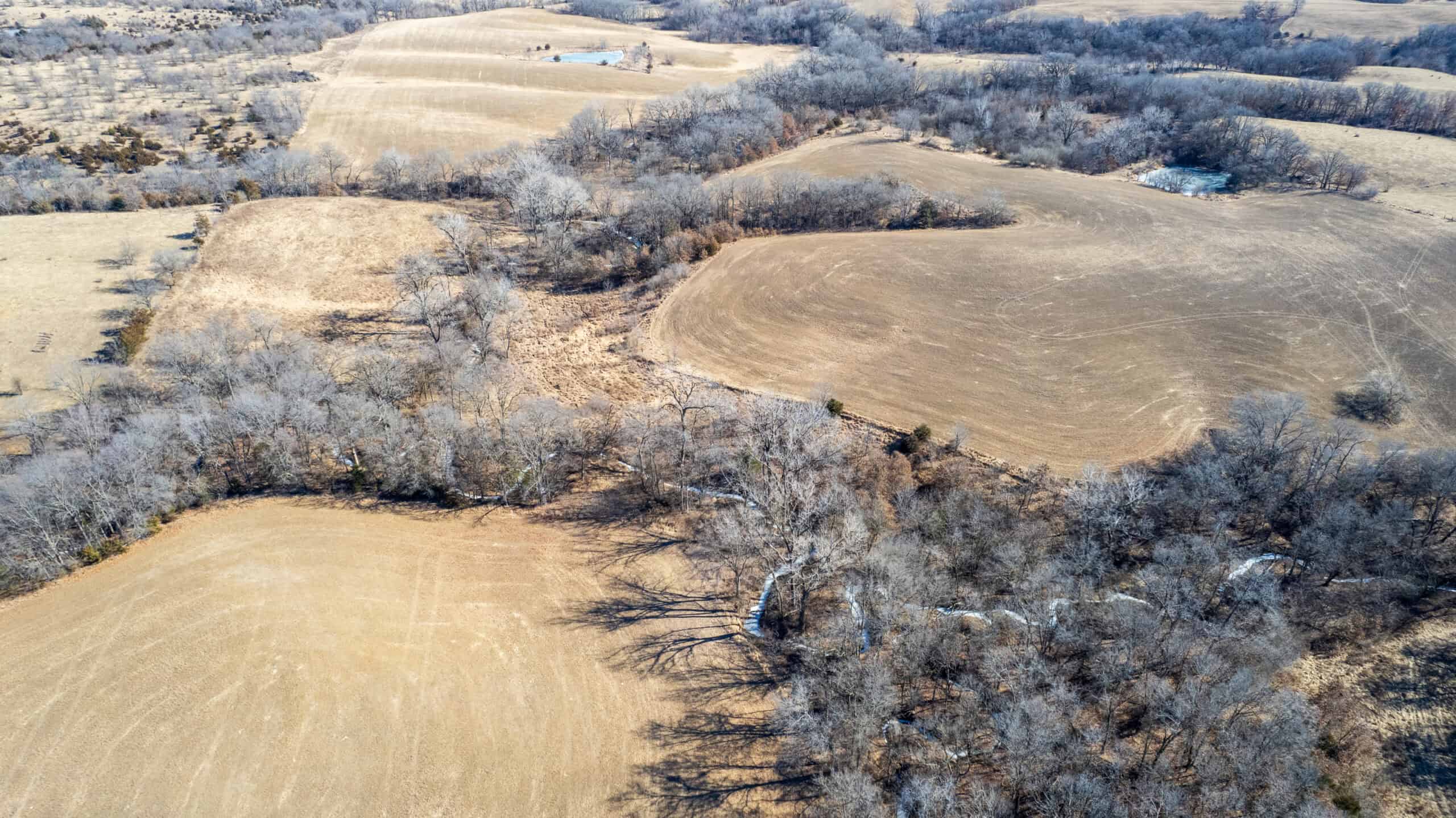 125+/- Acres | Combination Farm with Timber, Pasture & Hunting Potential | Appanoose County, IA