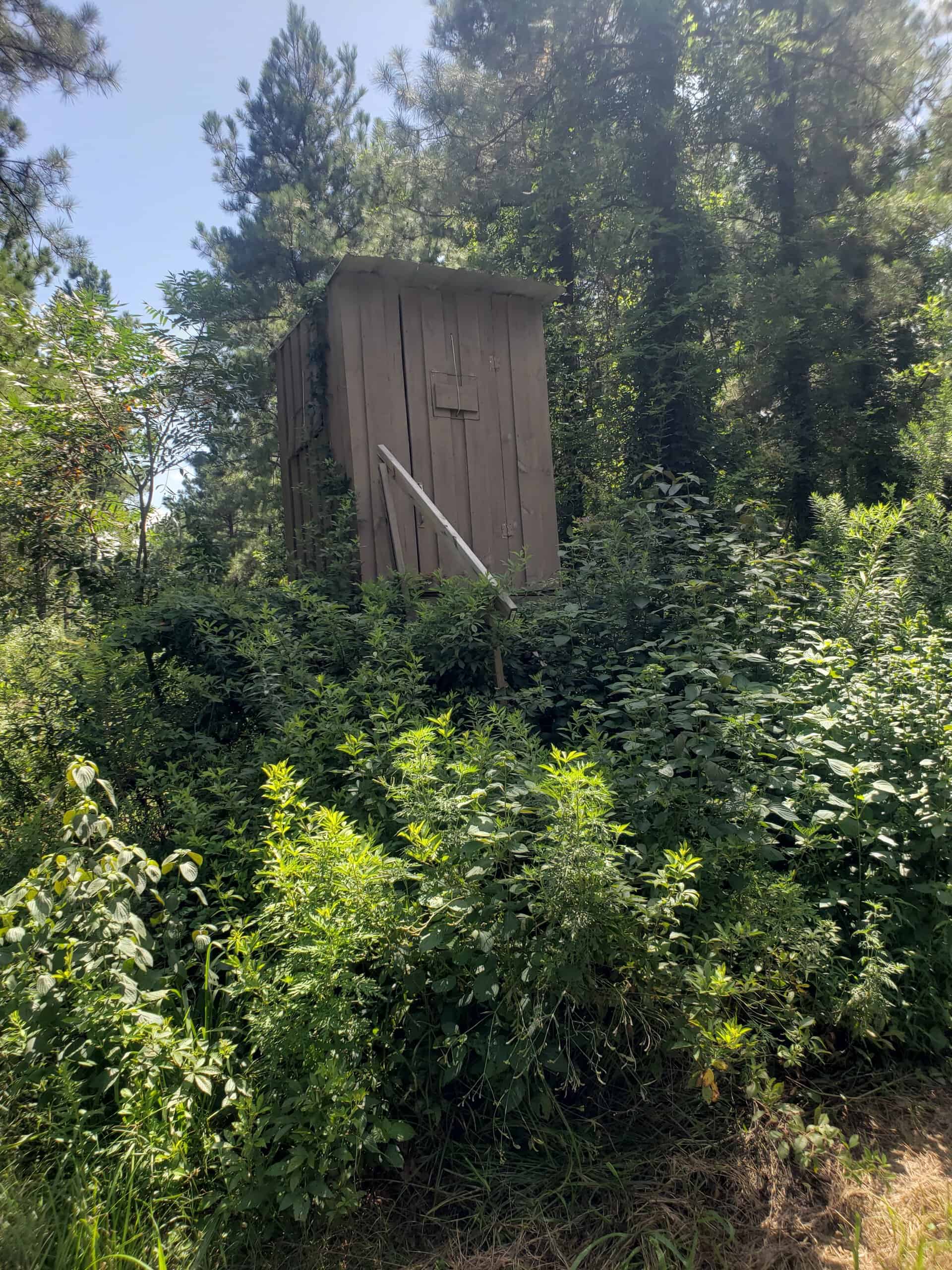 Hunting Property in Winn Parish LA For Sale