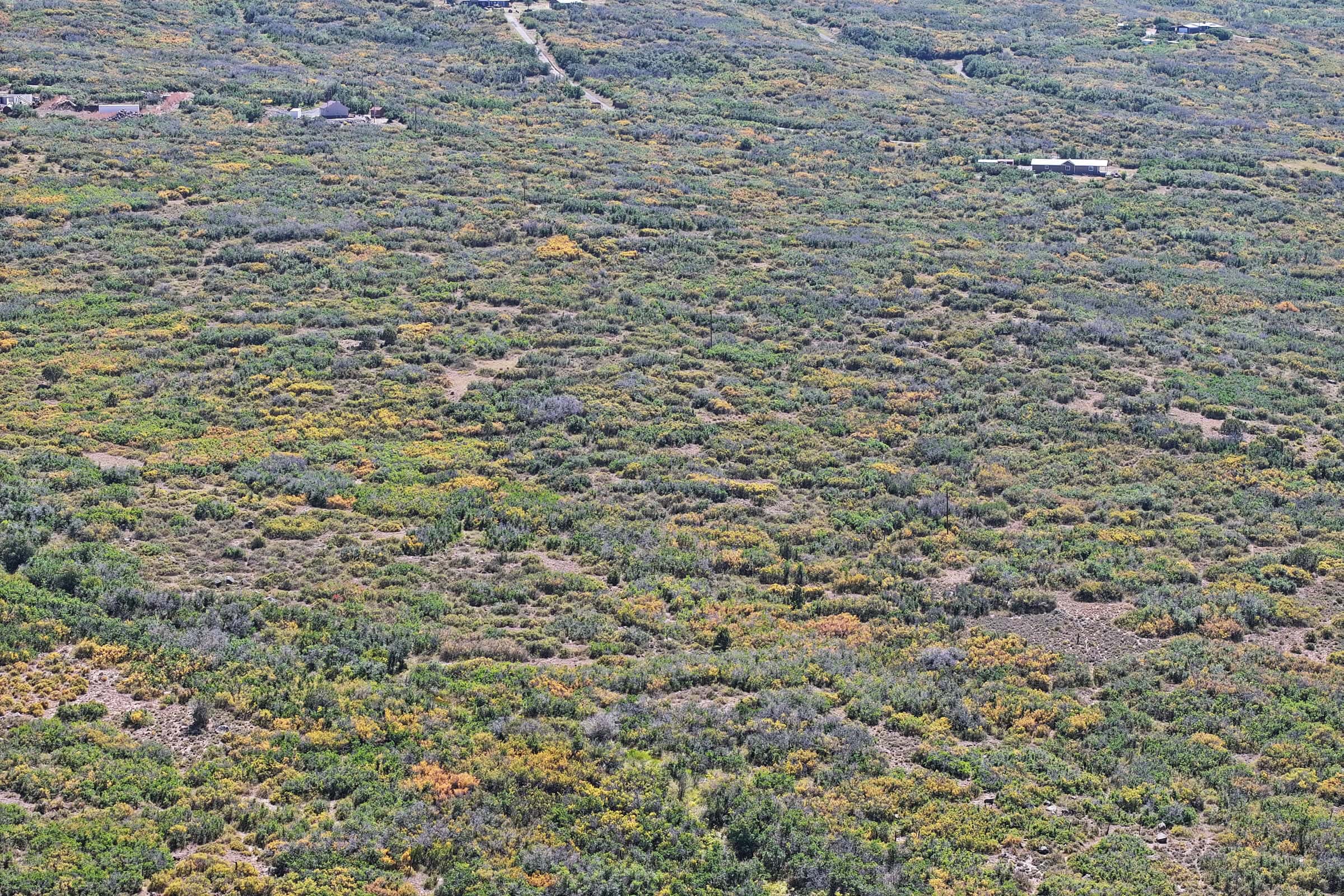 Land For Sale Near Powderhorn Ski Resort and Grand Mesa National Forest