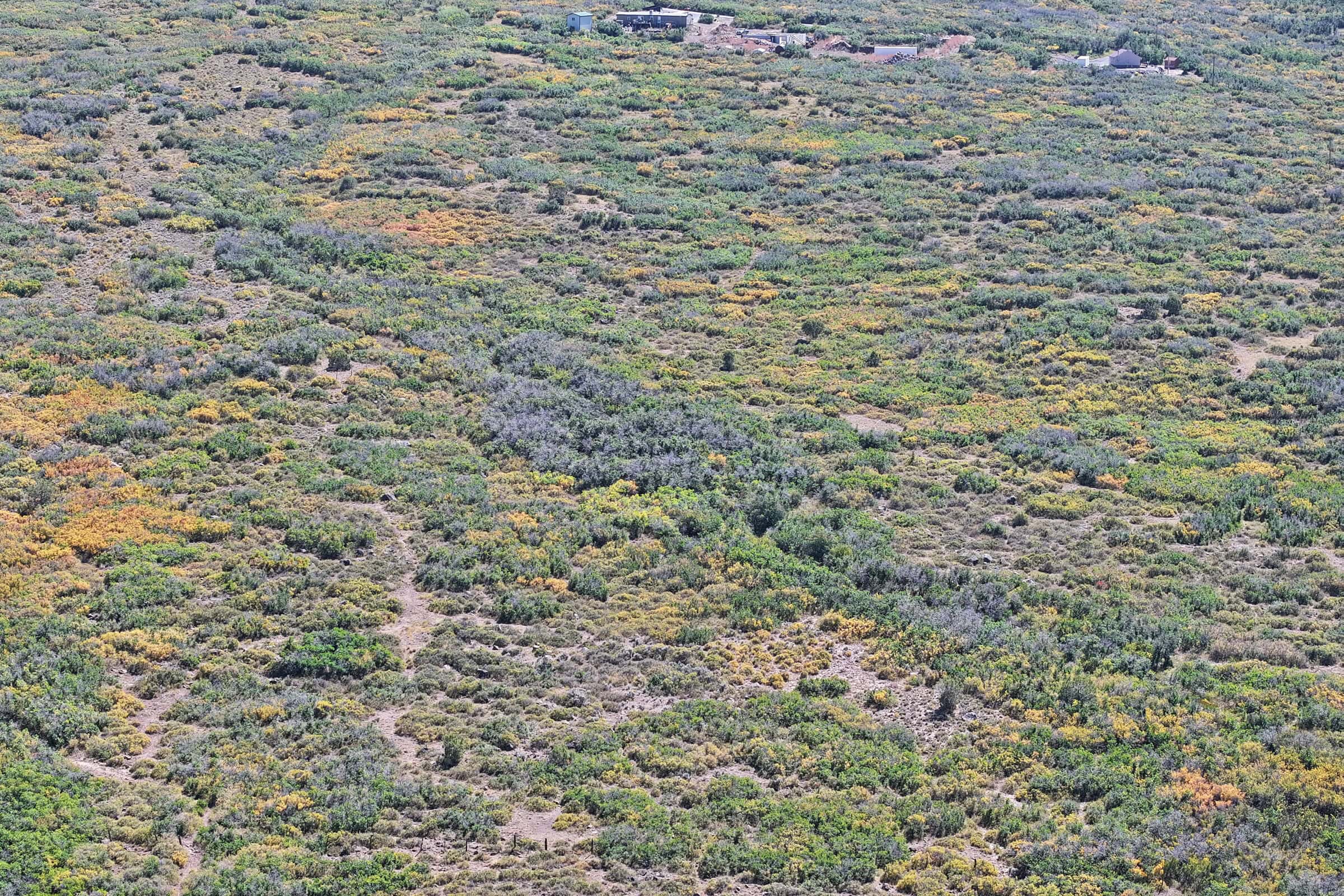 Land For Sale Near Powderhorn Ski Resort and Grand Mesa National Forest