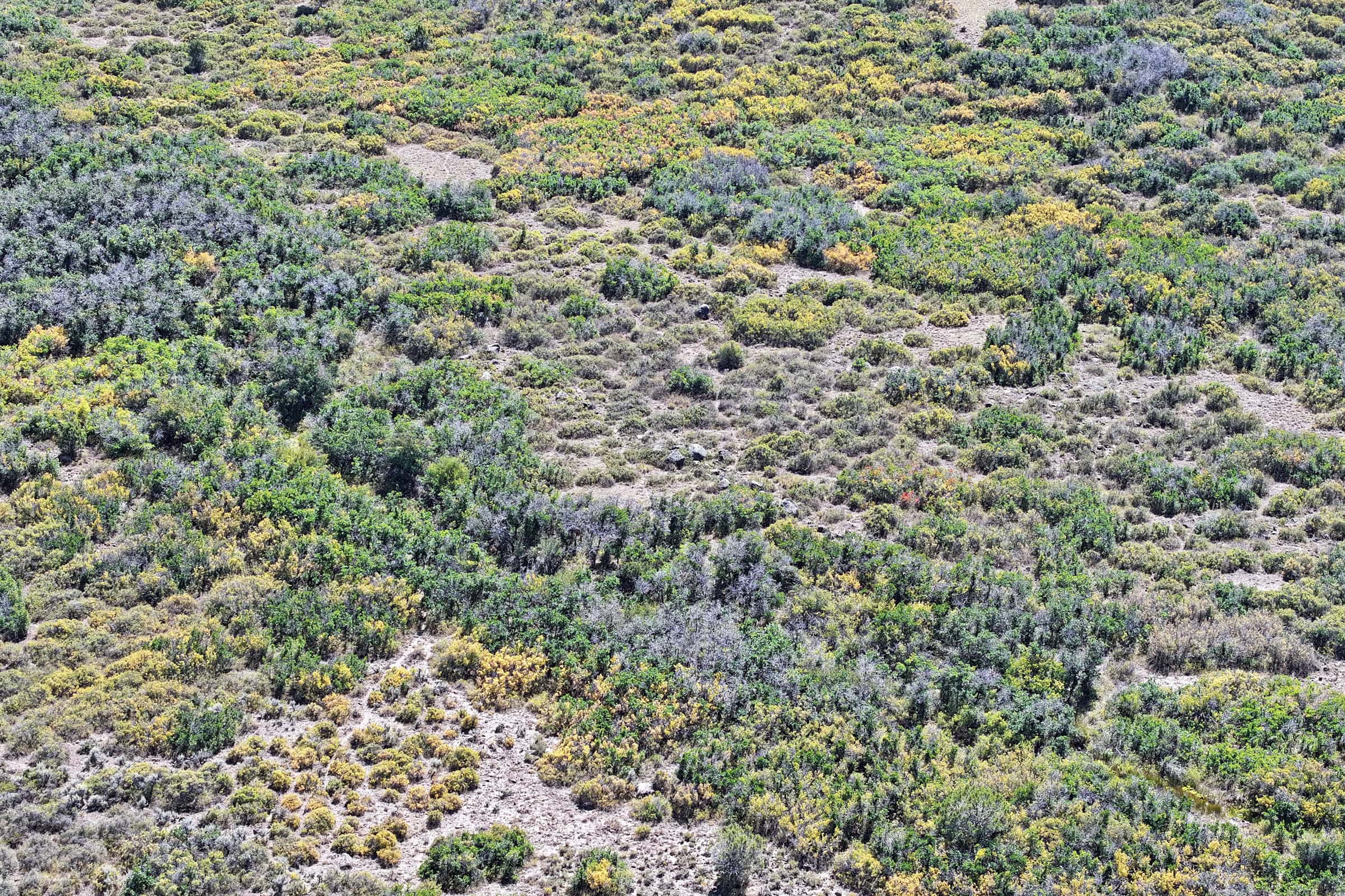 Land For Sale Near Powderhorn Ski Resort and Grand Mesa National Forest