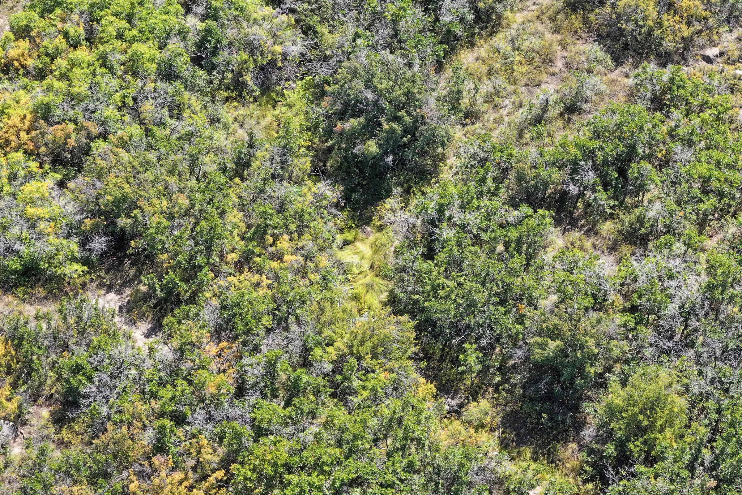 Land For Sale Near Powderhorn Ski Resort and Grand Mesa National Forest