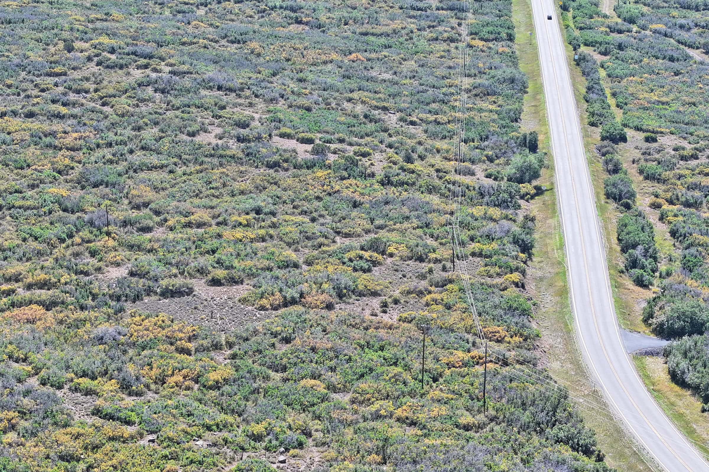 Land For Sale Near Powderhorn Ski Resort and Grand Mesa National Forest
