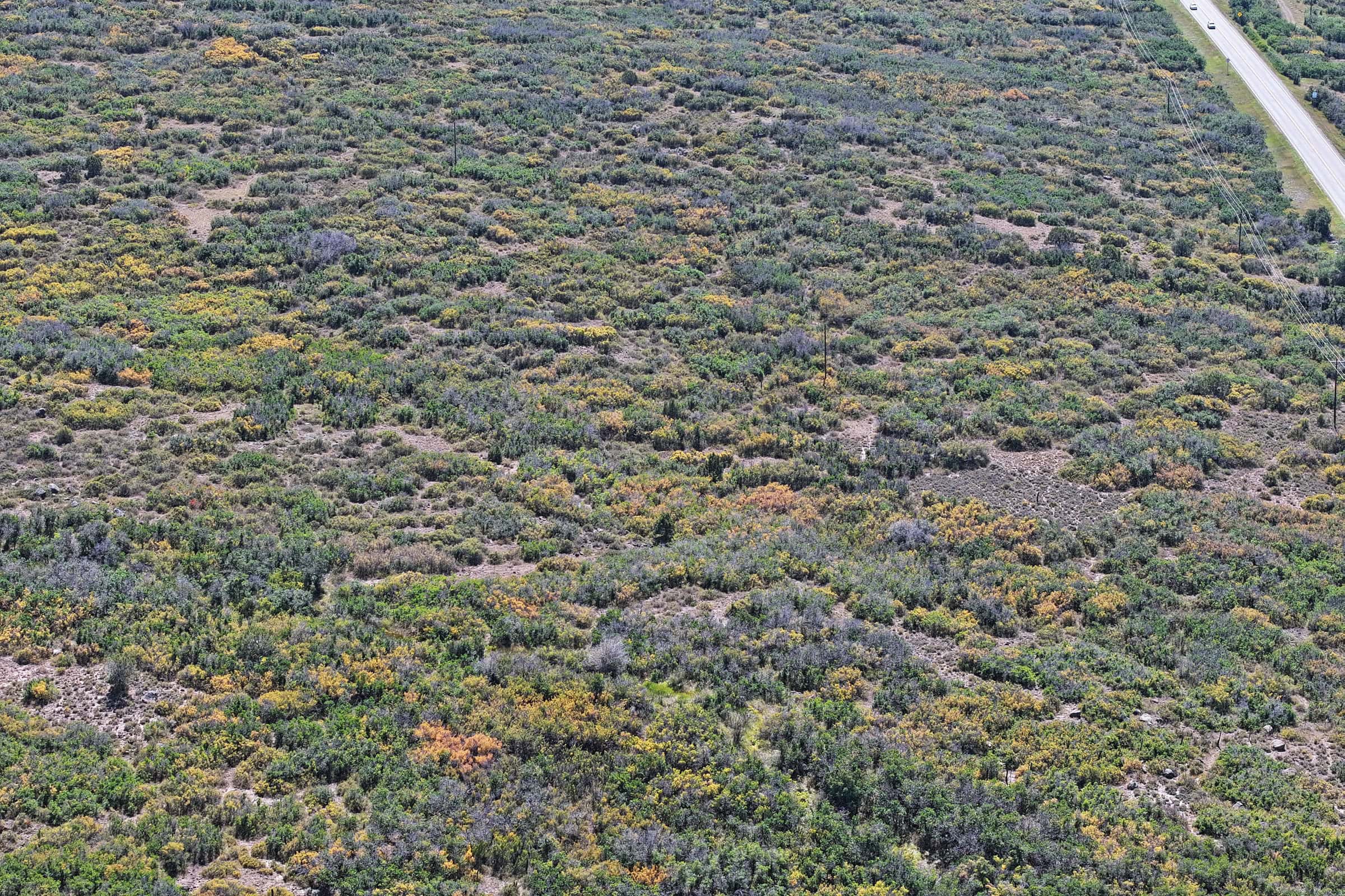 Land For Sale Near Powderhorn Ski Resort and Grand Mesa National Forest
