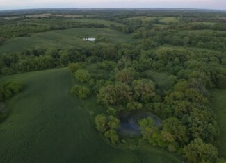125+/- Acres | Combination Farm with Timber, Pasture & Hunting Potential | Appanoose County, IA