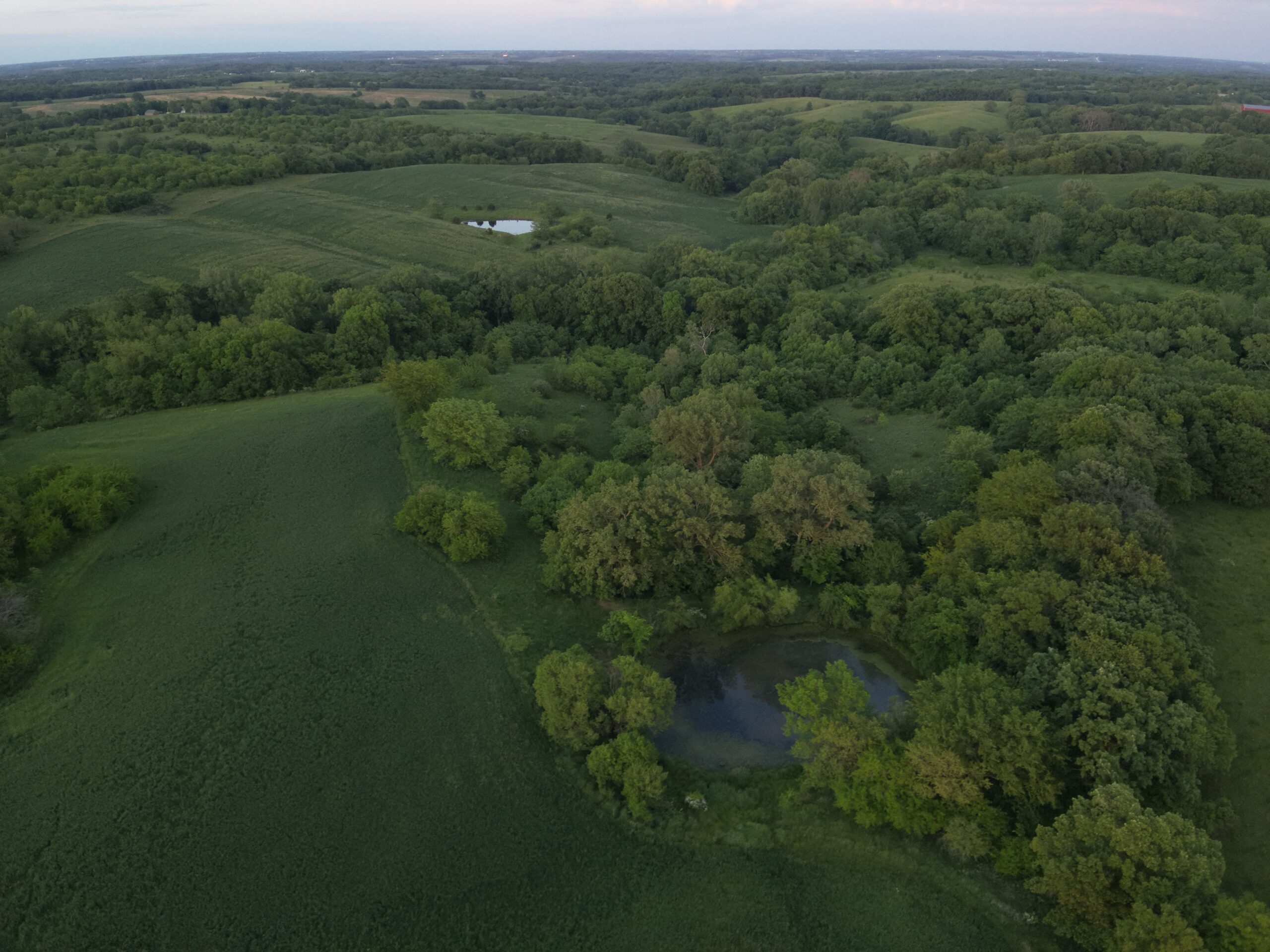 125+/- Acres | Combination Farm with Timber, Pasture & Hunting Potential | Appanoose County, IA