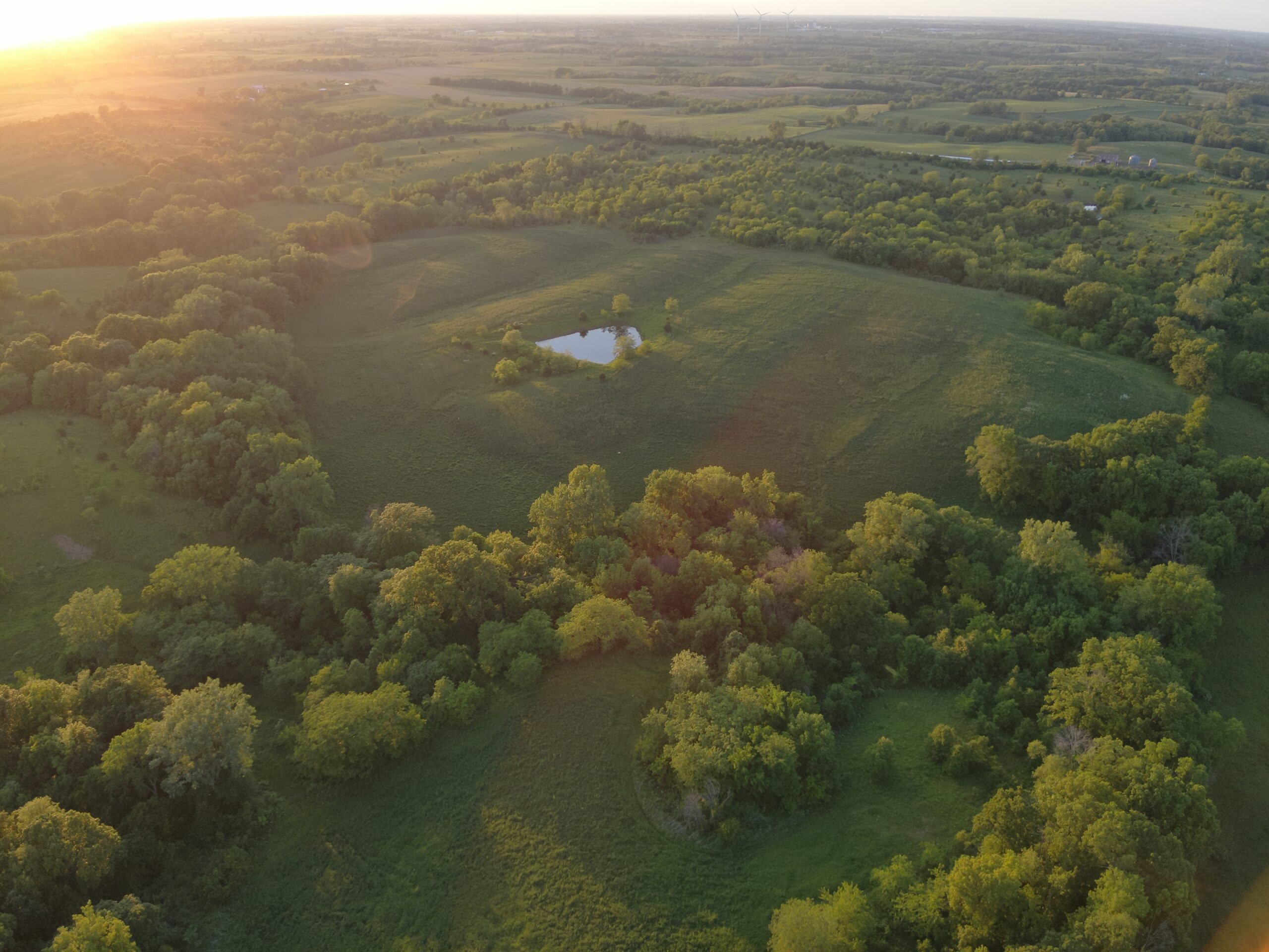 125+/- Acres | Combination Farm with Timber, Pasture & Hunting Potential | Appanoose County, IA
