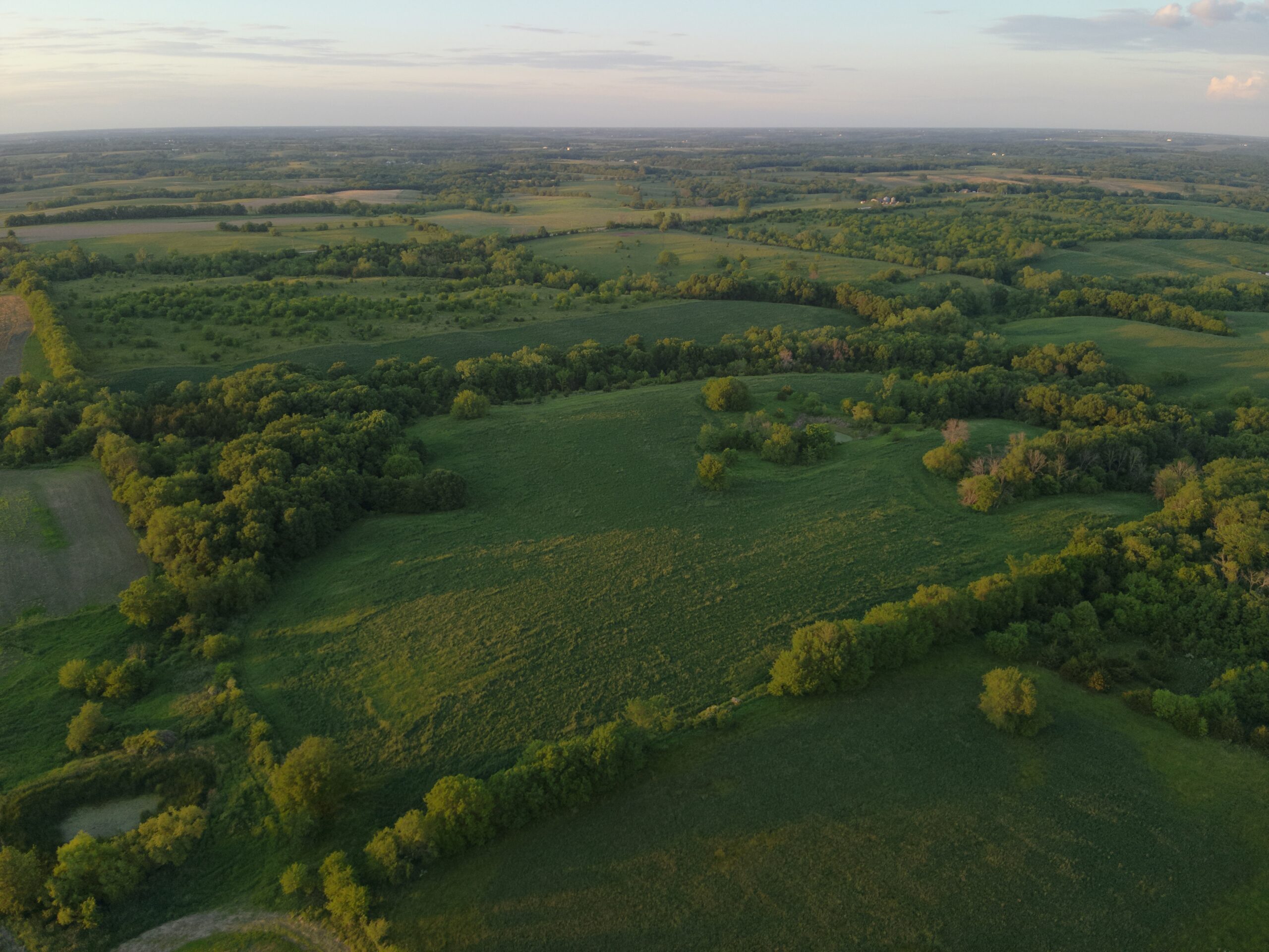 125+/- Acres | Combination Farm with Timber, Pasture & Hunting Potential | Appanoose County, IA