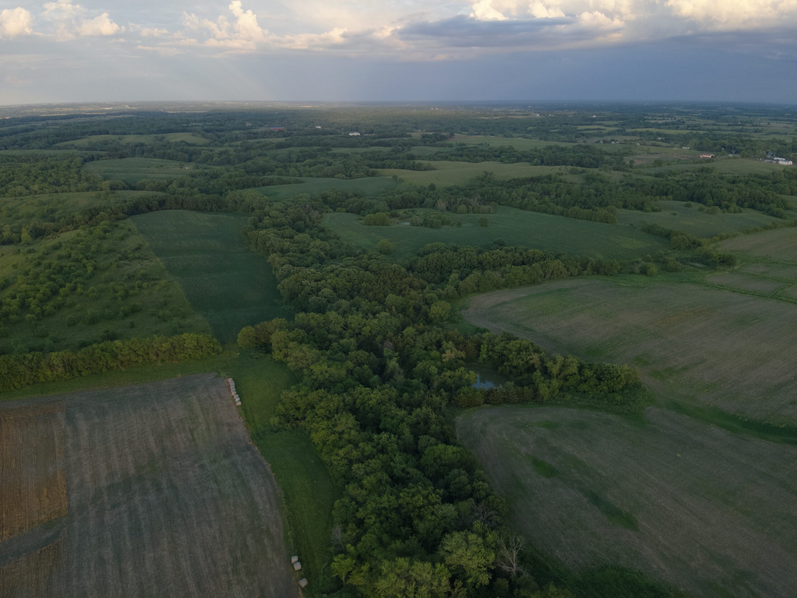 125+/- Acres | Combination Farm with Timber, Pasture & Hunting Potential | Appanoose County, IA
