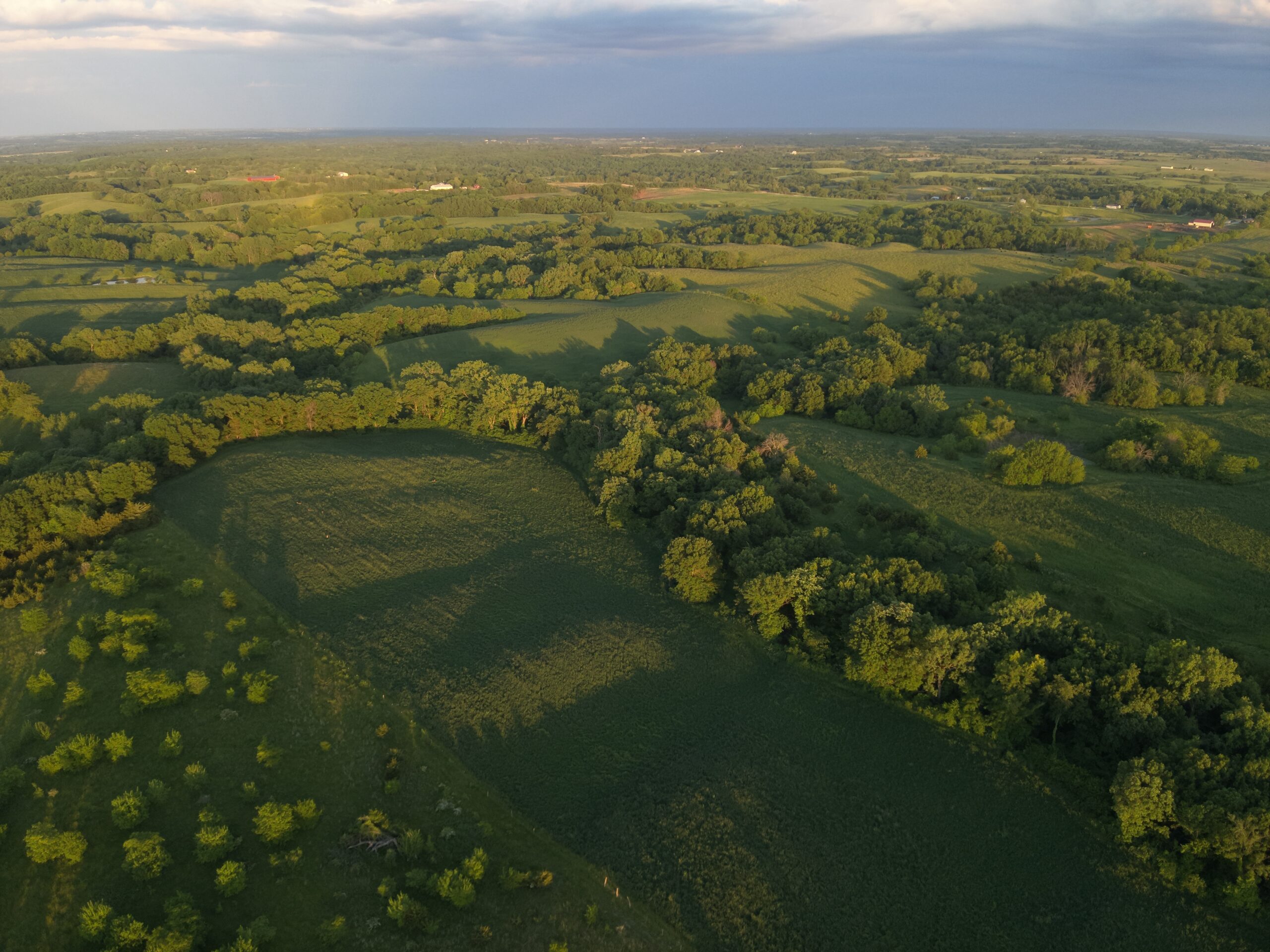 125+/- Acres | Combination Farm with Timber, Pasture & Hunting Potential | Appanoose County, IA
