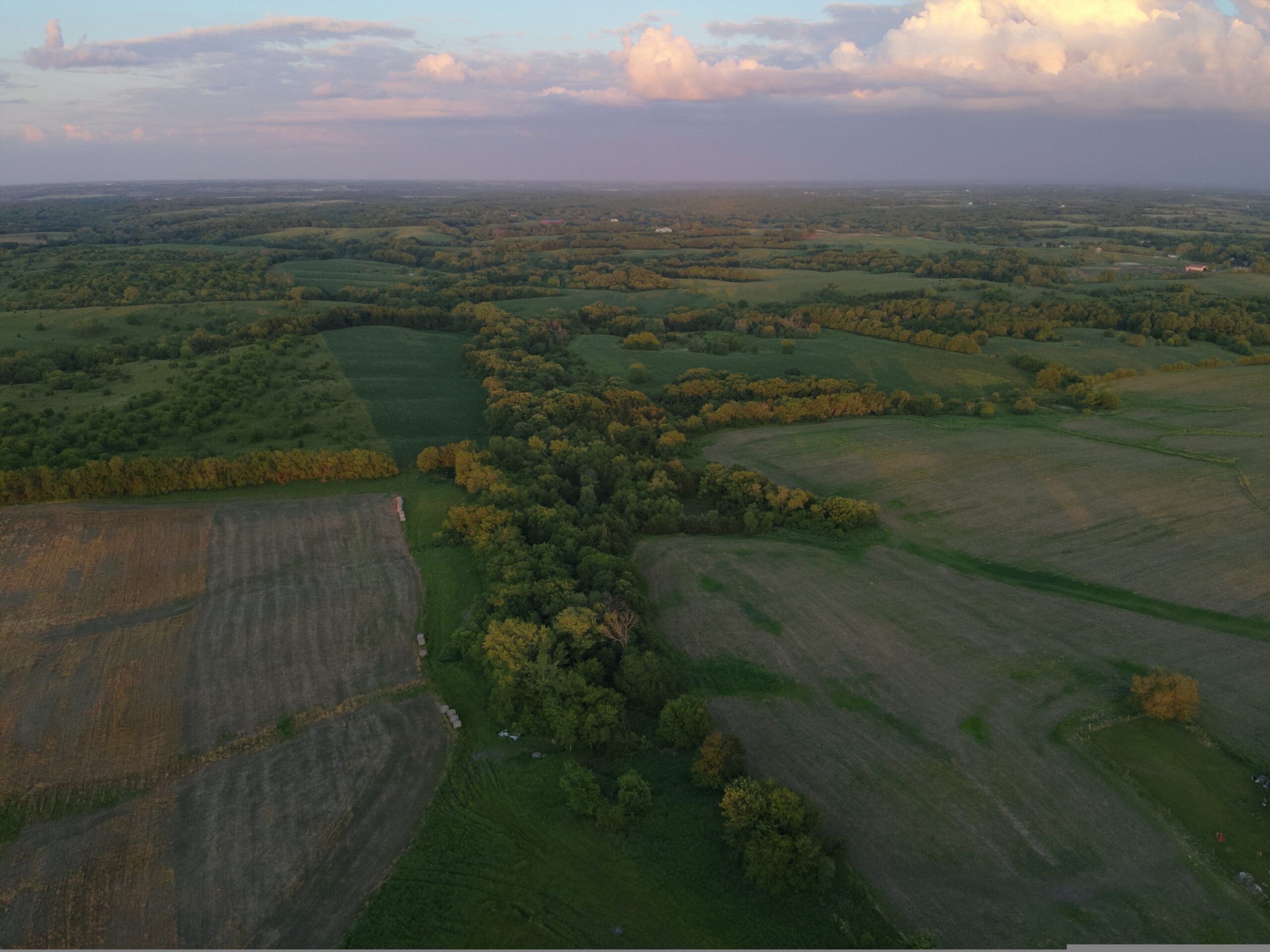 125+/- Acres | Combination Farm with Timber, Pasture & Hunting Potential | Appanoose County, IA