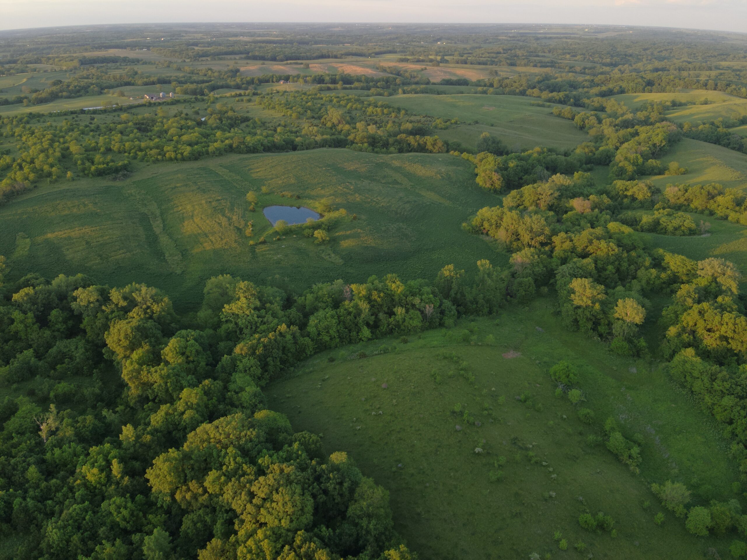 125+/- Acres | Combination Farm with Timber, Pasture & Hunting Potential | Appanoose County, IA