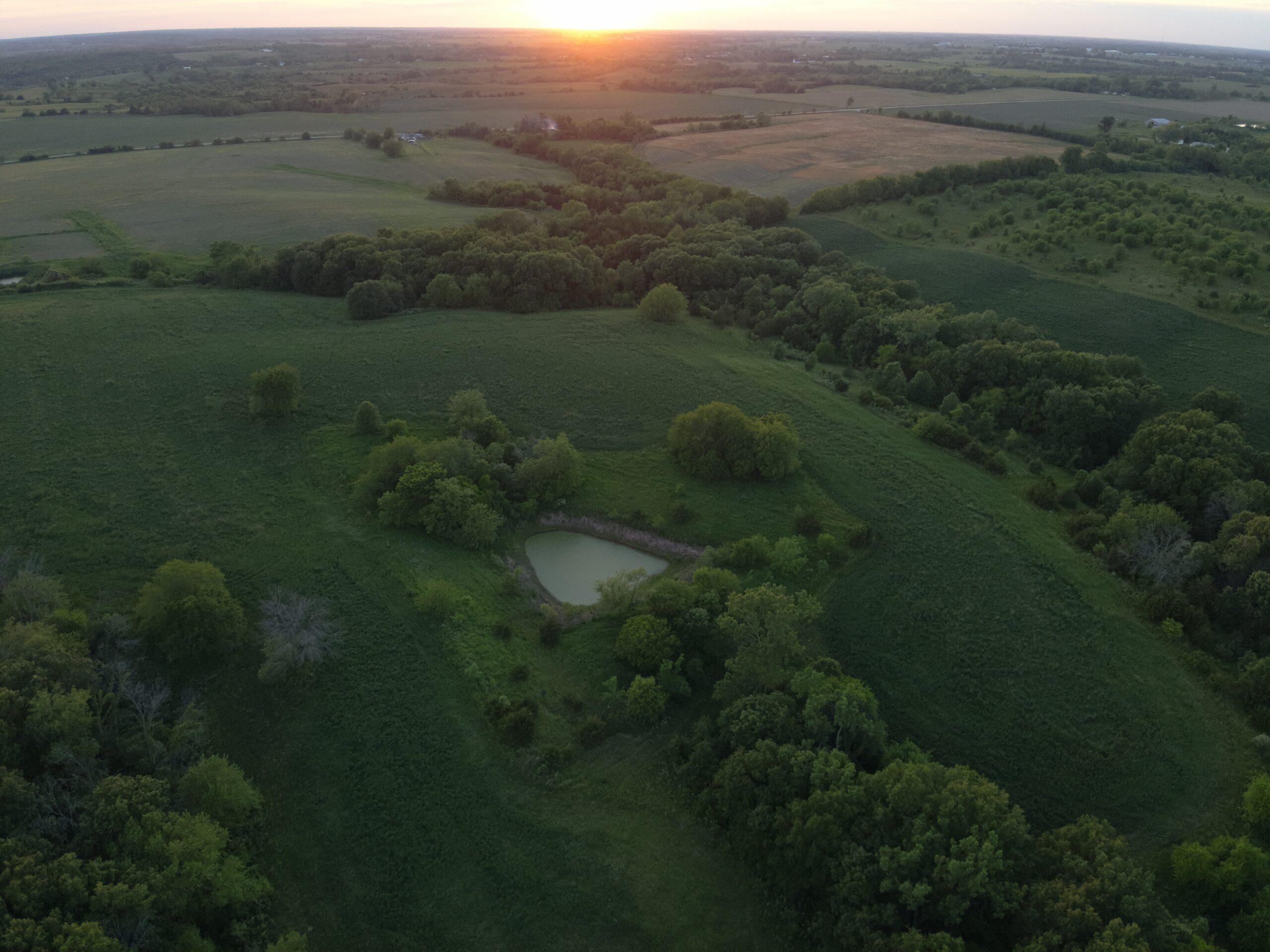 125+/- Acres | Combination Farm with Timber, Pasture & Hunting Potential | Appanoose County, IA