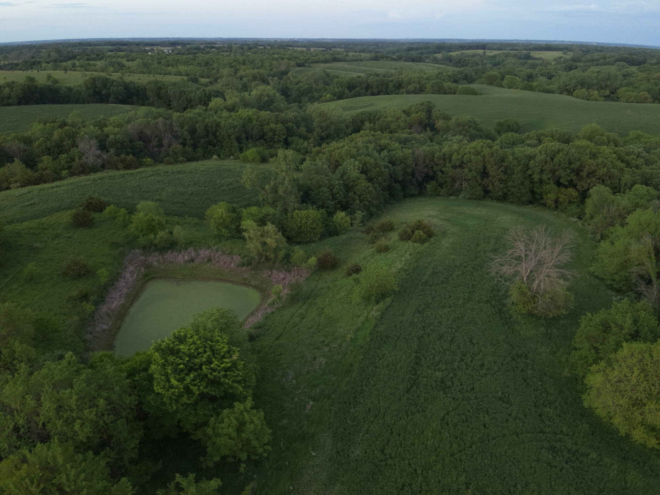 125+/- Acres | Combination Farm with Timber, Pasture & Hunting Potential | Appanoose County, IA