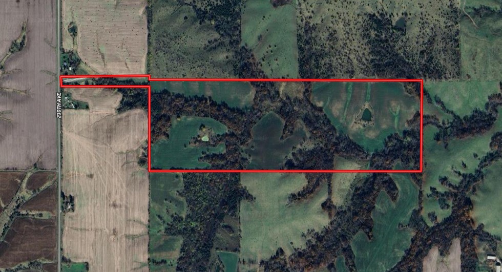 125+/- Acres | Combination Farm with Timber, Pasture & Hunting Potential | Appanoose County, IA