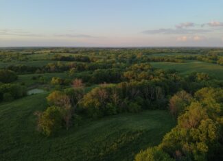 125+/- Acres | Combination Farm with Timber, Pasture & Hunting Potential | Appanoose County, IA
