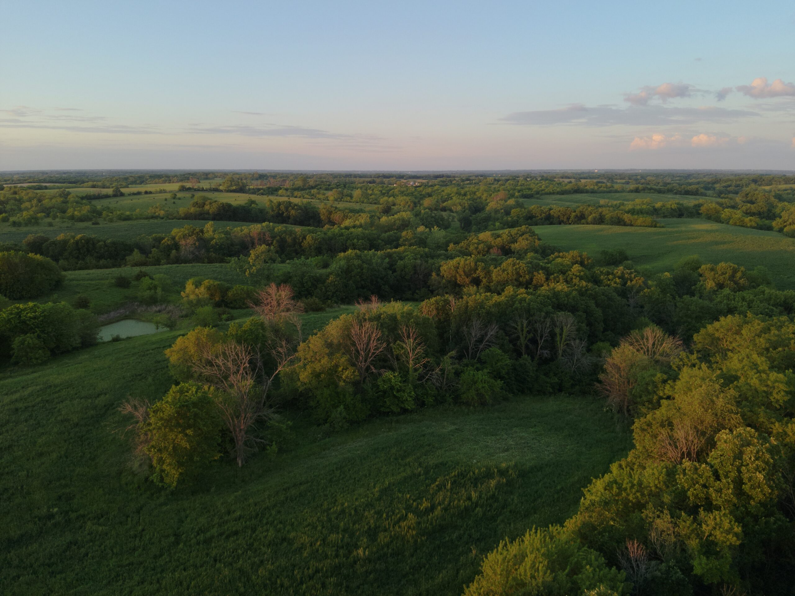 125+/- Acres | Combination Farm with Timber, Pasture & Hunting Potential | Appanoose County, IA