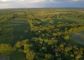 125+/- Acres | Combination Farm with Timber, Pasture & Hunting Potential | Appanoose County, IA