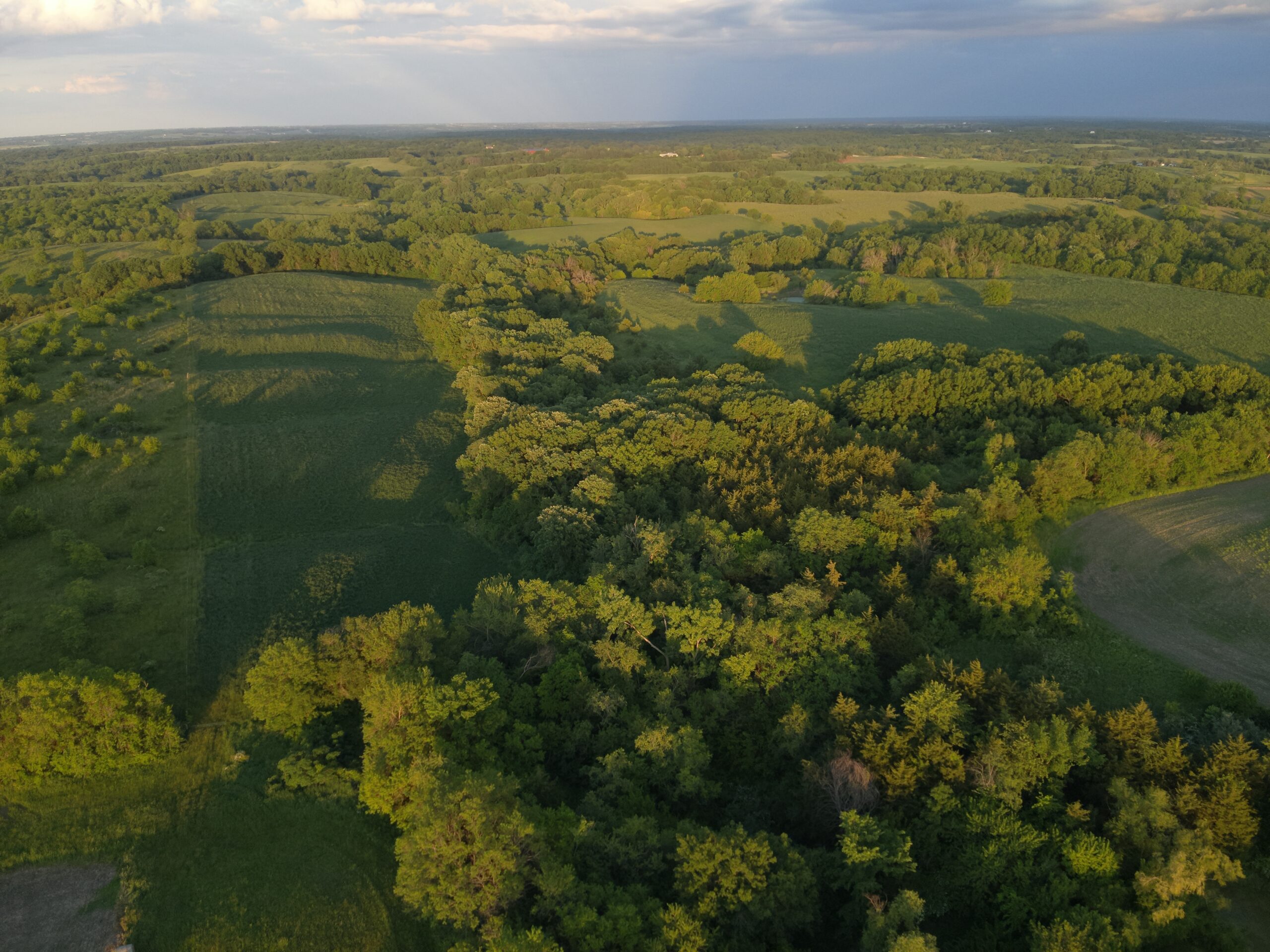 125+/- Acres | Combination Farm with Timber, Pasture & Hunting Potential | Appanoose County, IA