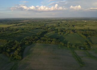 125+/- Acres | Combination Farm with Timber, Pasture & Hunting Potential | Appanoose County, IA
