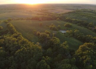 125+/- Acres | Combination Farm with Timber, Pasture & Hunting Potential | Appanoose County, IA