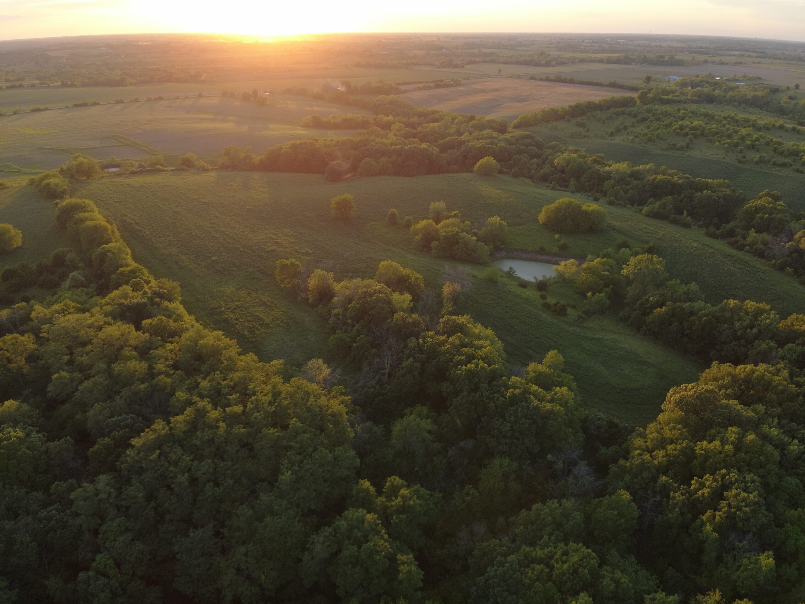 125+/- Acres | Combination Farm with Timber, Pasture & Hunting Potential | Appanoose County, IA