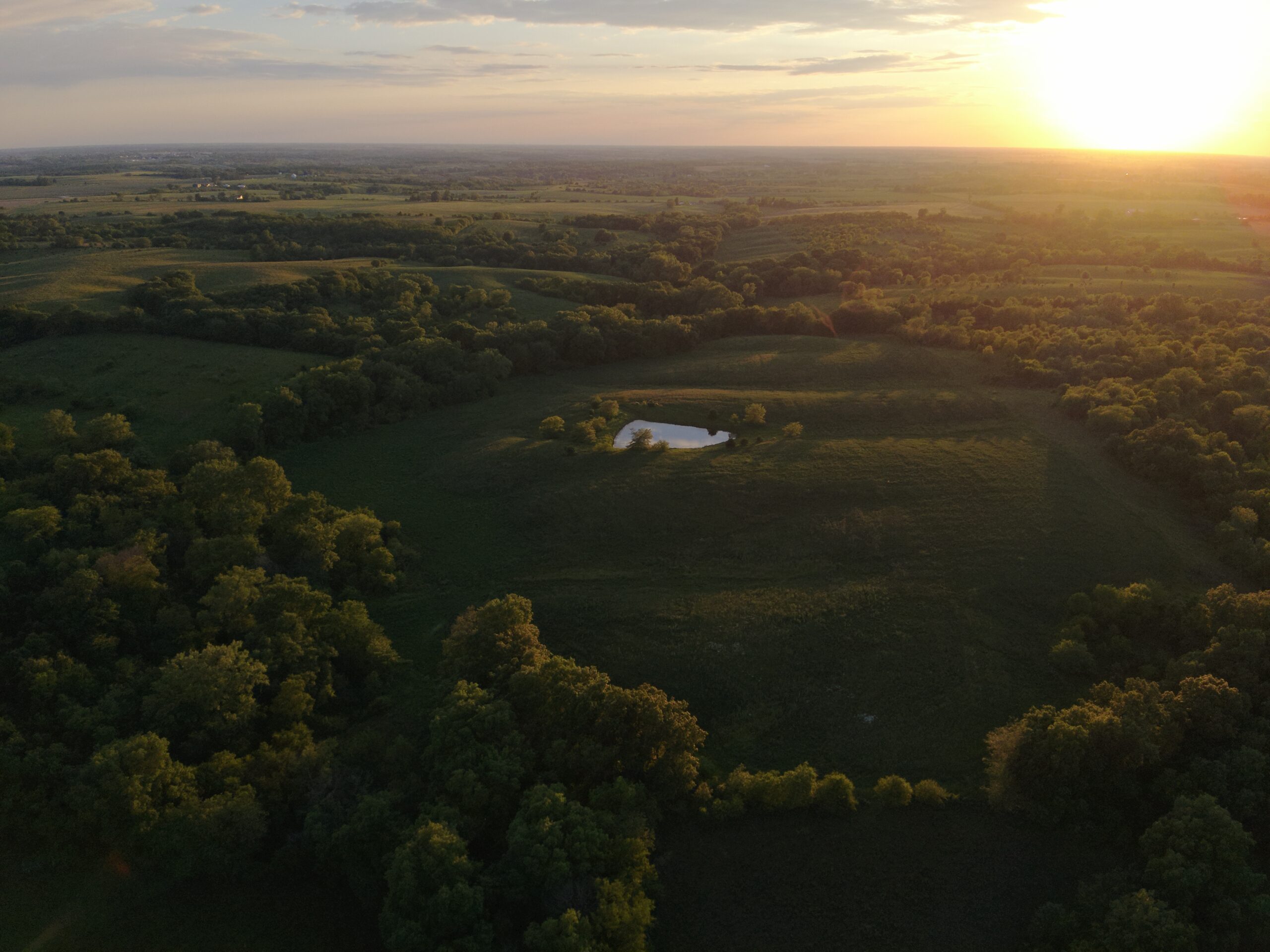125+/- Acres | Combination Farm with Timber, Pasture & Hunting Potential | Appanoose County, IA