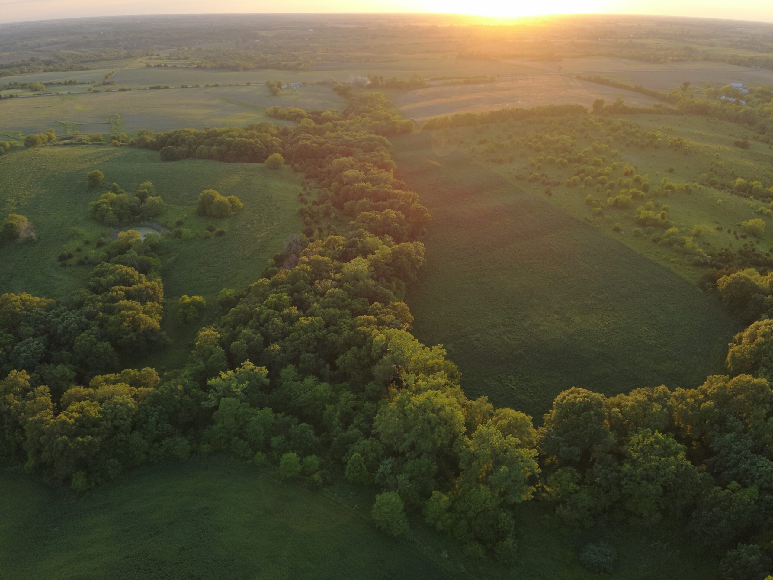 125+/- Acres | Combination Farm with Timber, Pasture & Hunting Potential | Appanoose County, IA