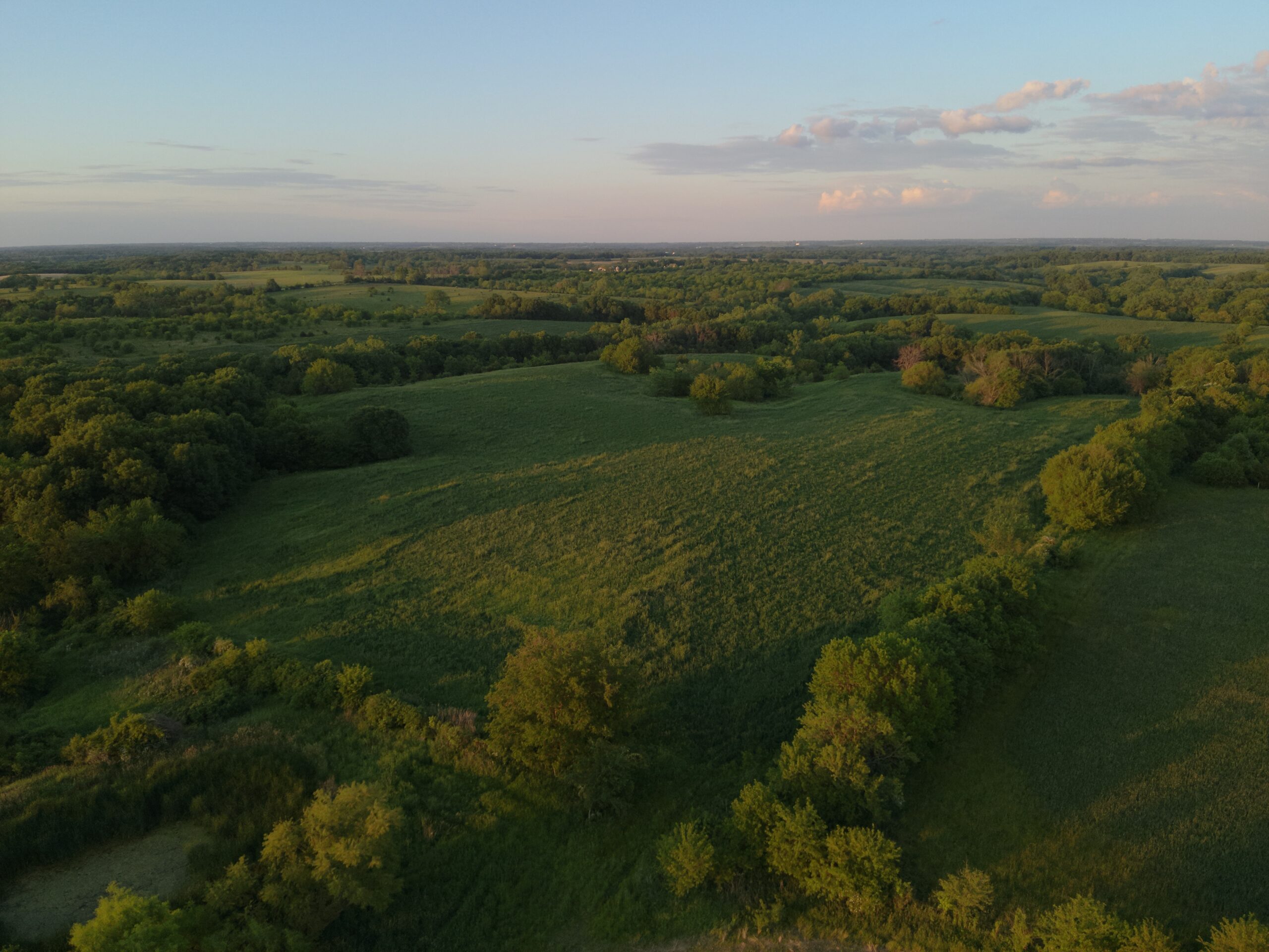 125+/- Acres | Combination Farm with Timber, Pasture & Hunting Potential | Appanoose County, IA