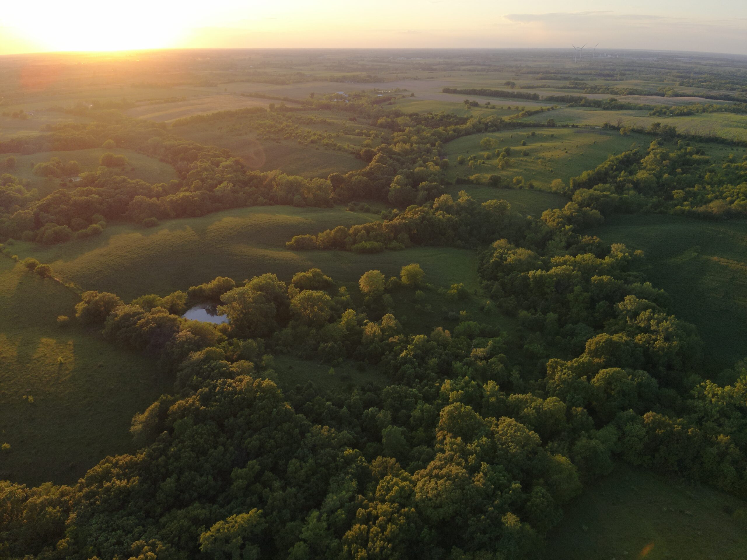 125+/- Acres | Combination Farm with Timber, Pasture & Hunting Potential | Appanoose County, IA