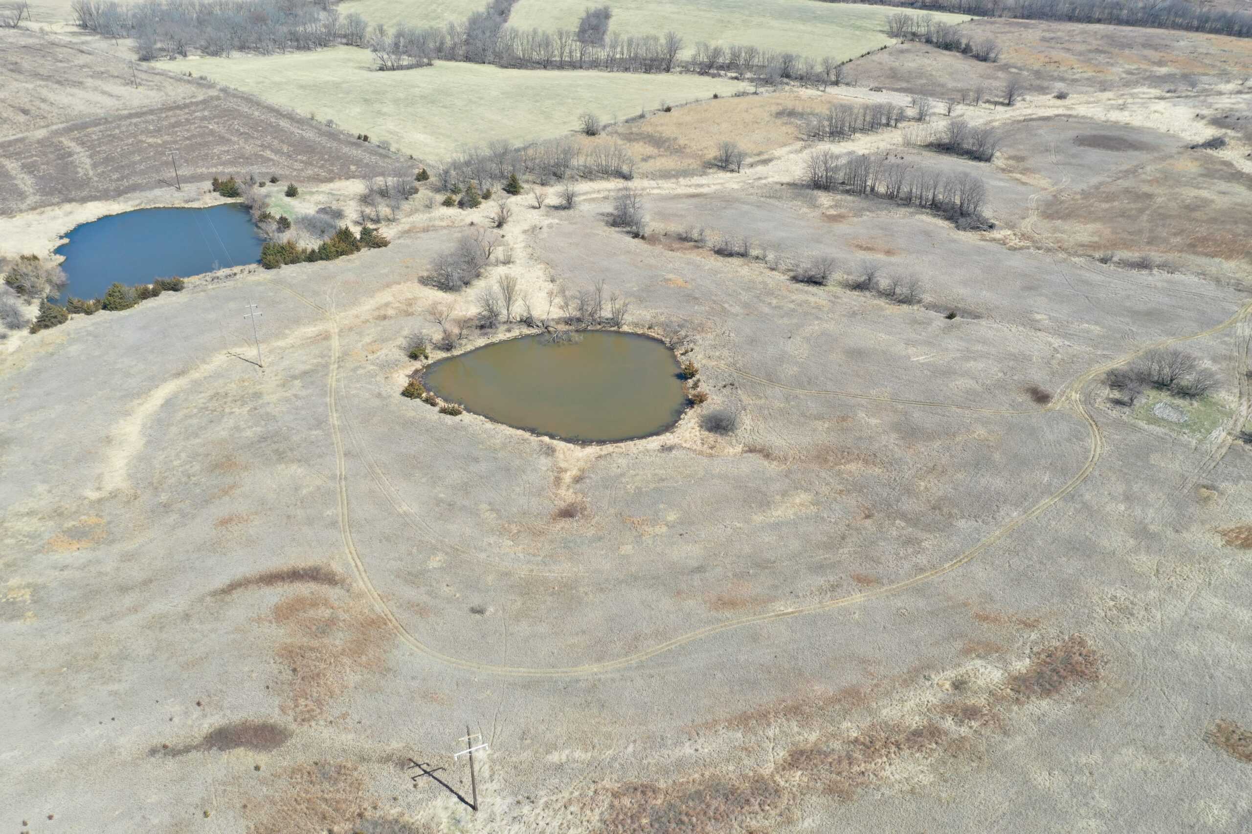 Highly Tillable 40 Acres m/l in Harrison County