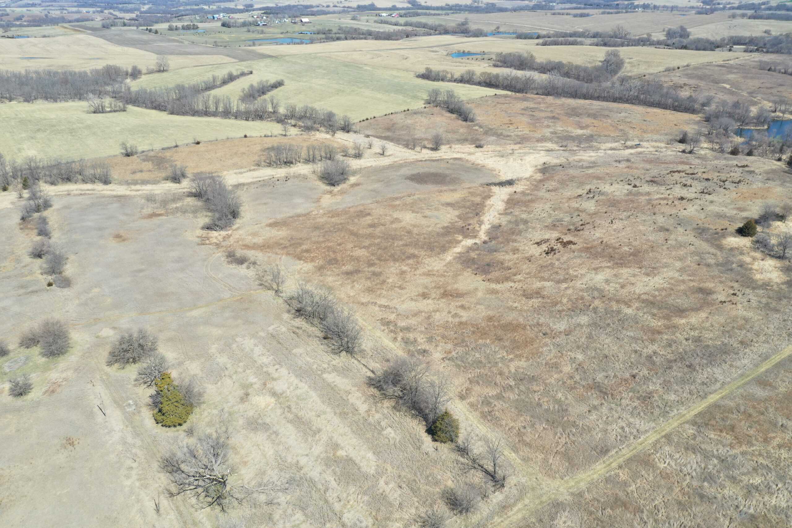Farm Ground on 40 Acres m/l near Eagleville, MO