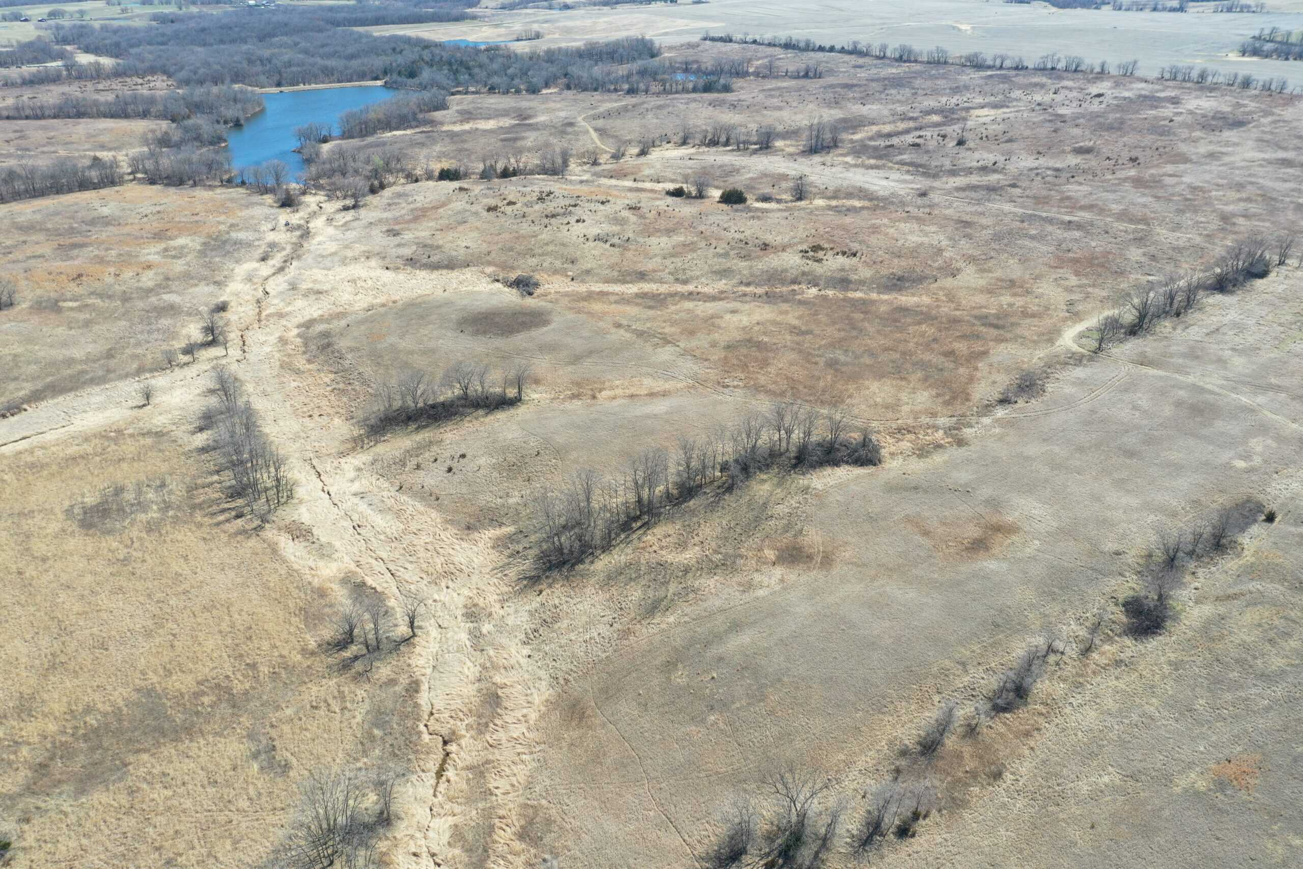 Farm Ground on 40 Acres m/l near Eagleville, MO