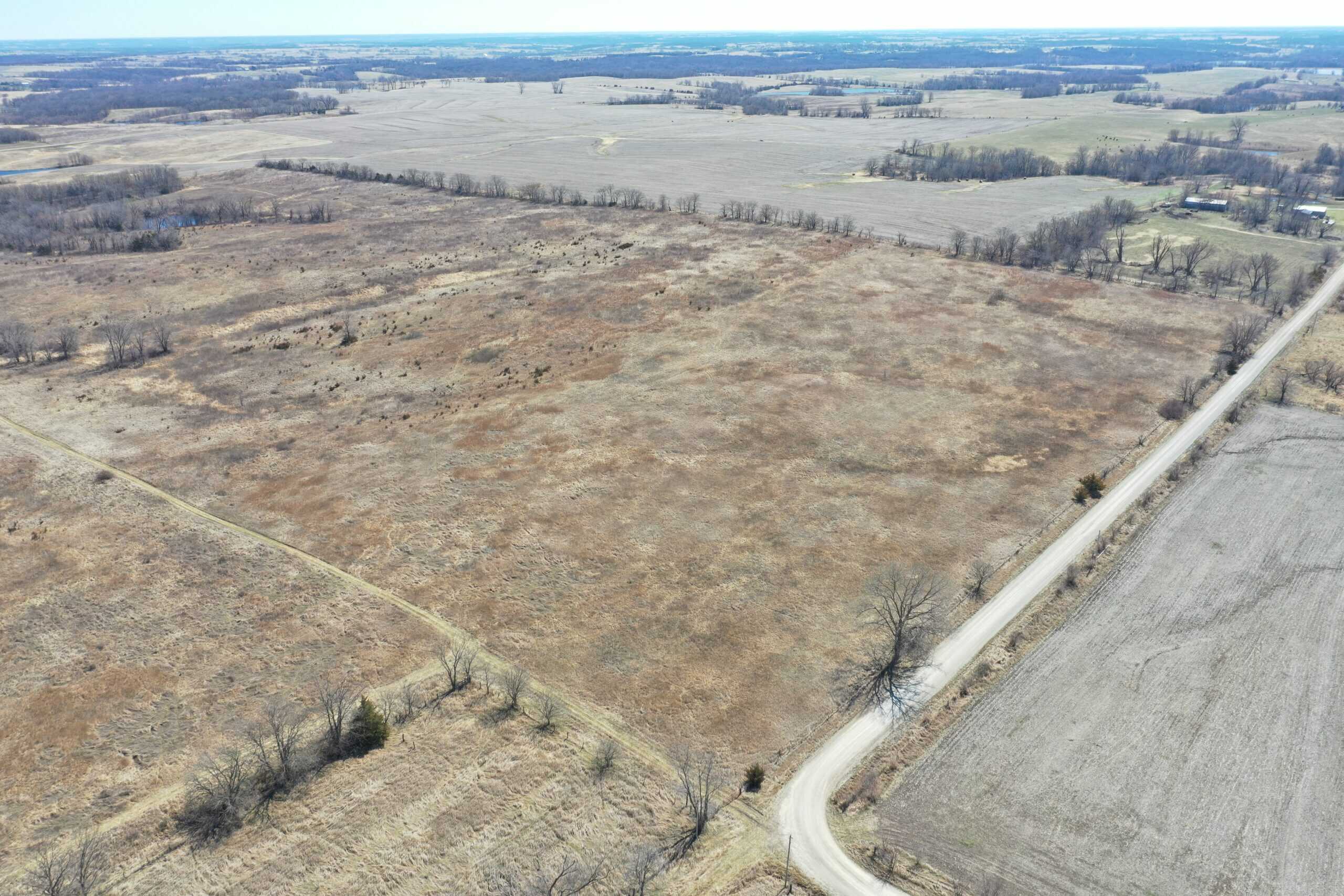 Farm Ground 40 Acres m/l near Eagleville, MO