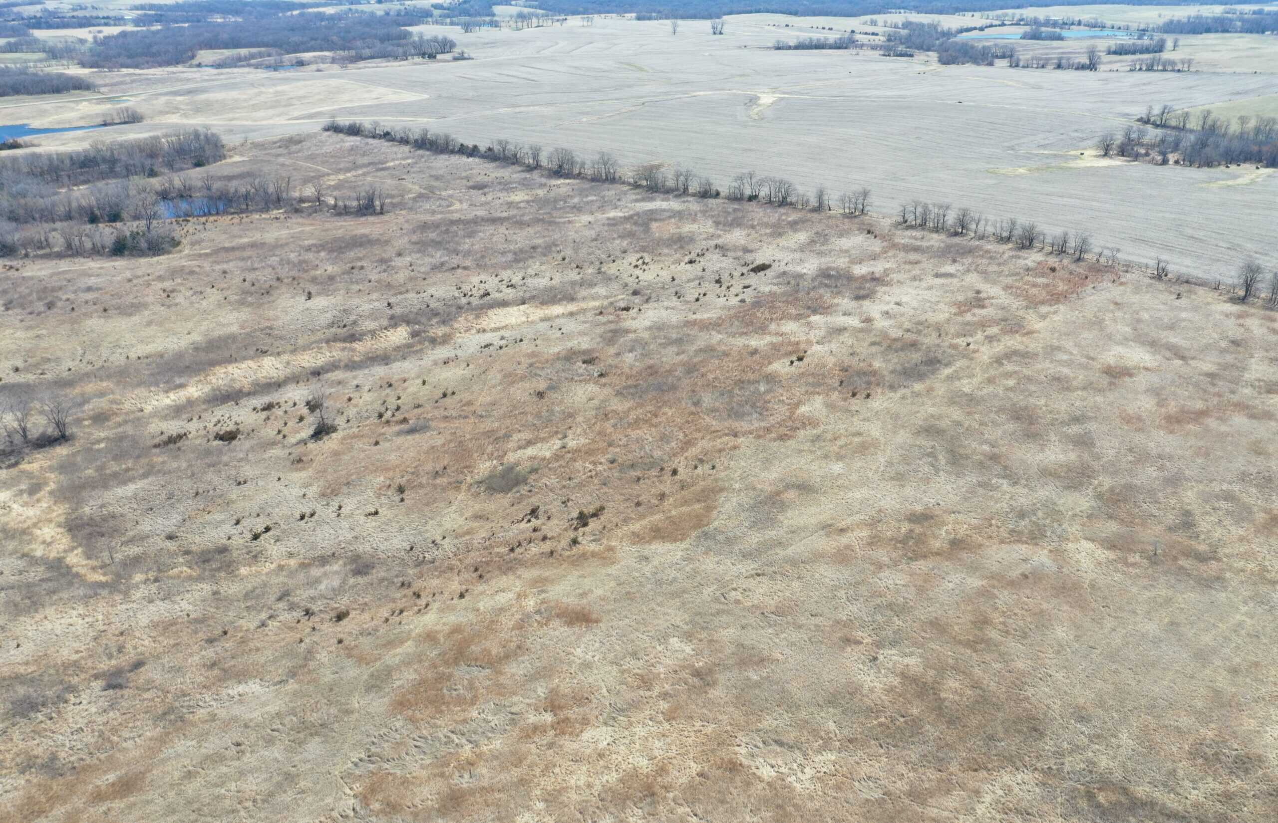 Farm Ground 40 Acres m/l near Eagleville, MO