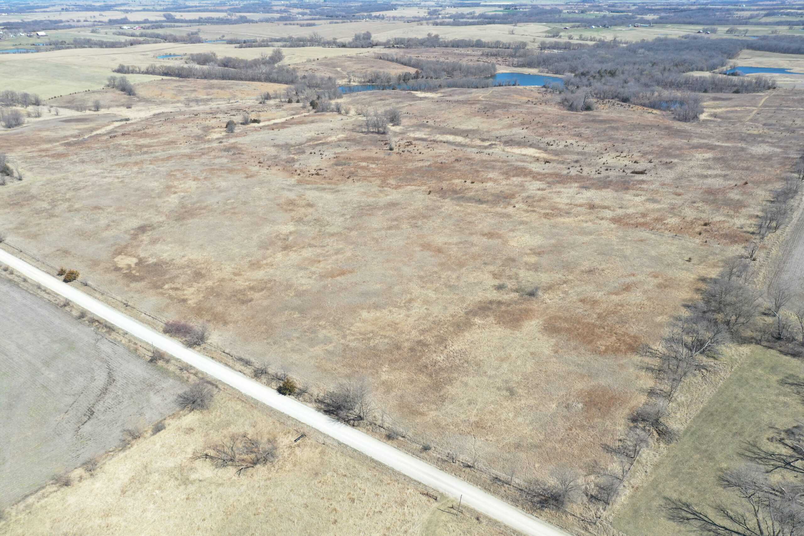 Farm Ground 40 Acres m/l near Eagleville, MO