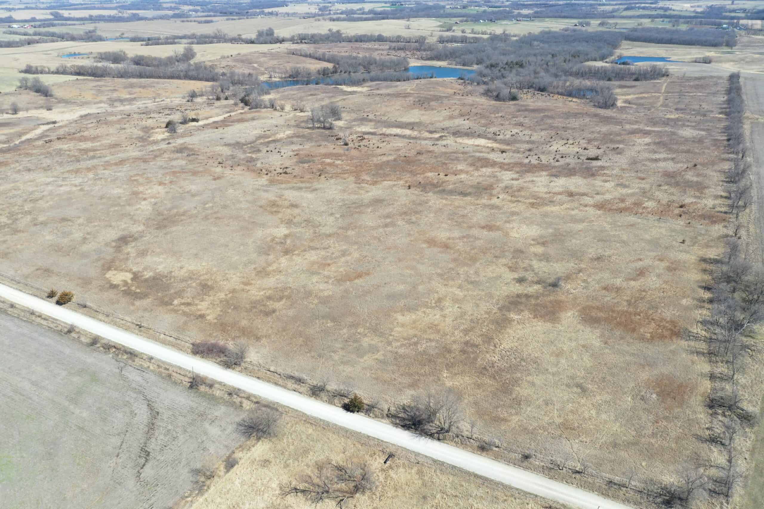 Farm Ground 40 Acres m/l near Eagleville, MO